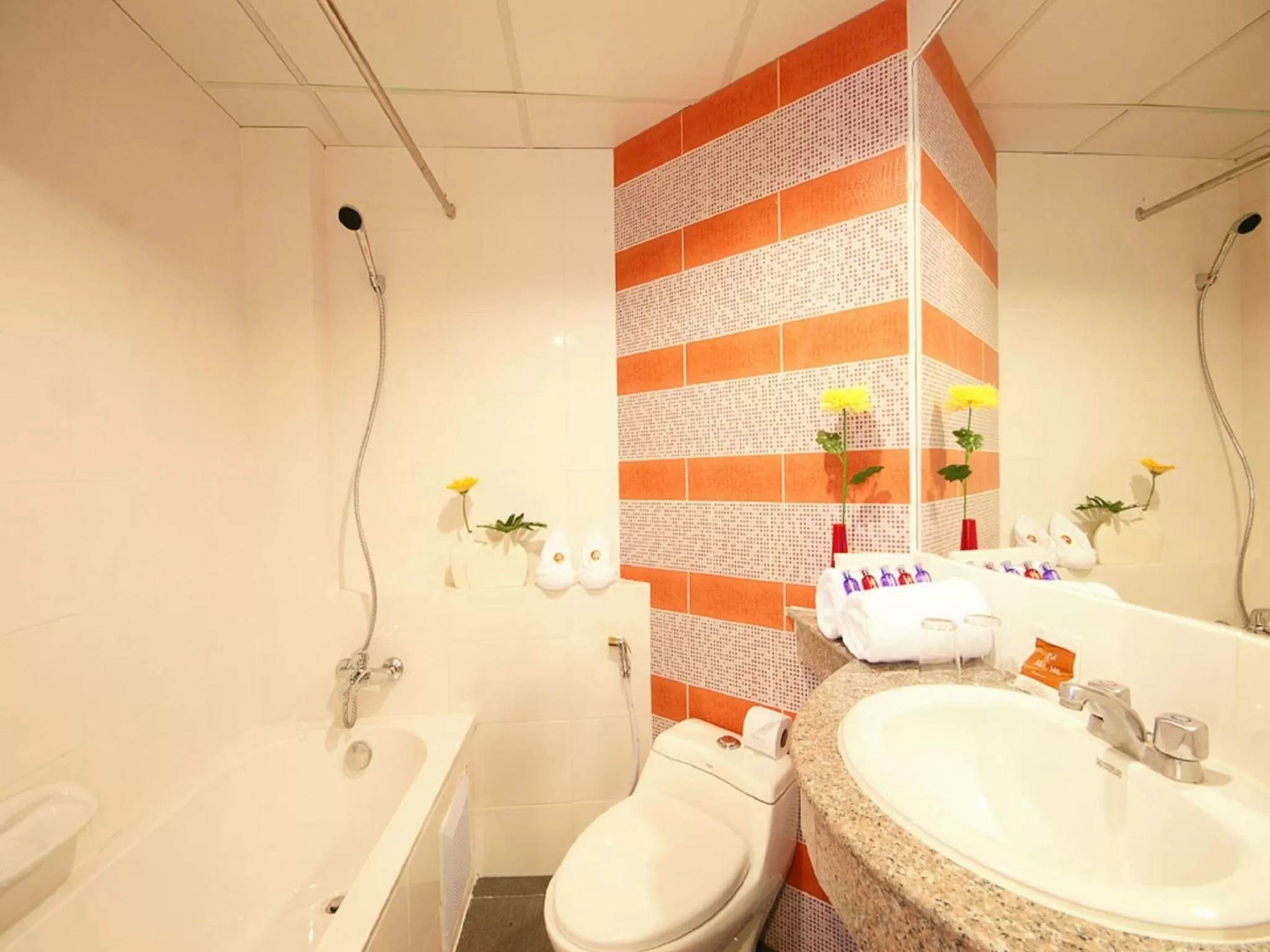 Bathroom in Bella Express