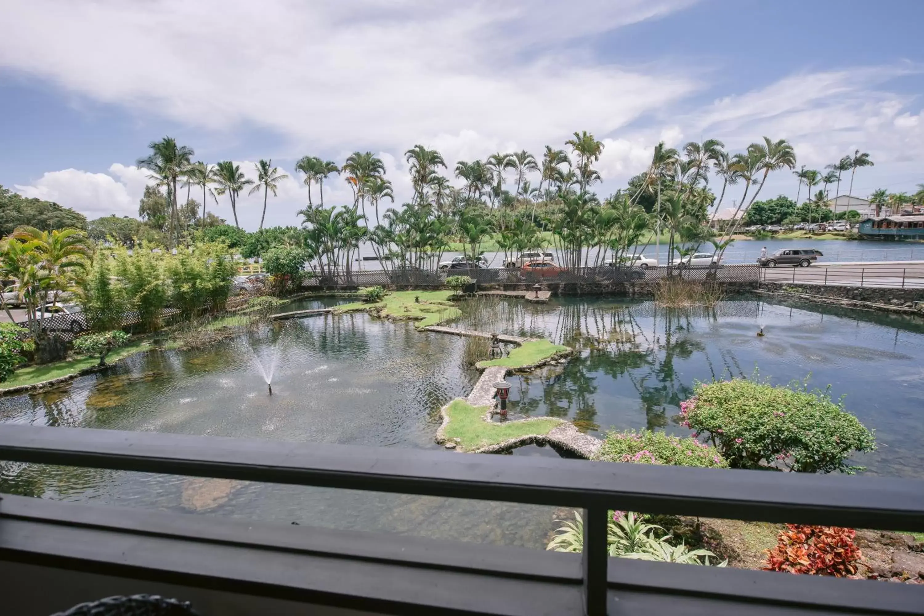 View (from property/room) in SCP Hilo Hotel