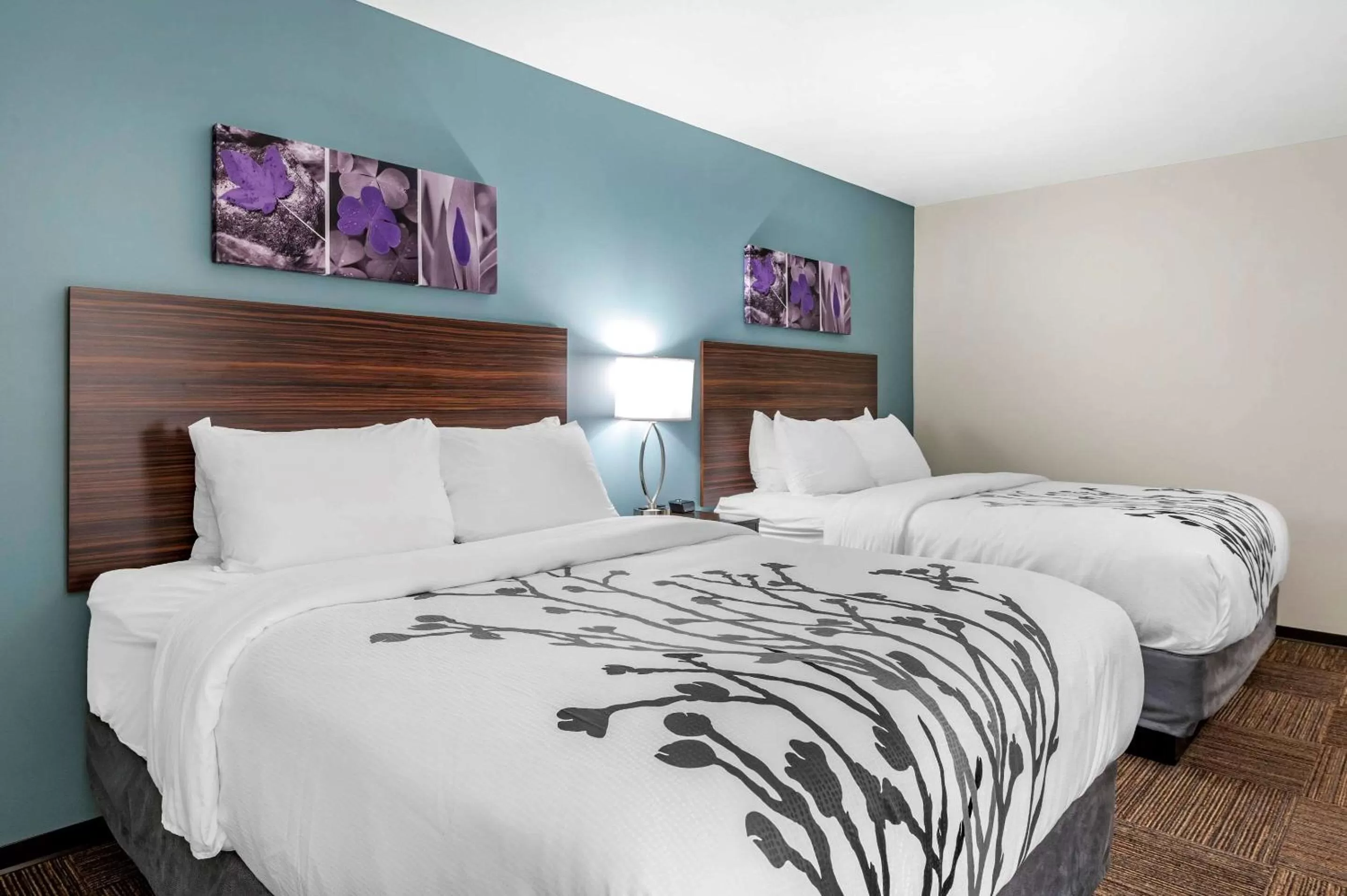 Photo of the whole room, Bed in Sleep Inn