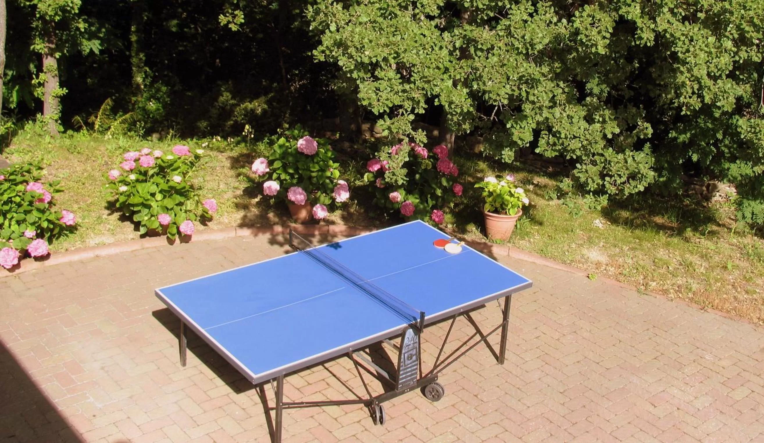 Entertainment in La Casa Dei Boschi