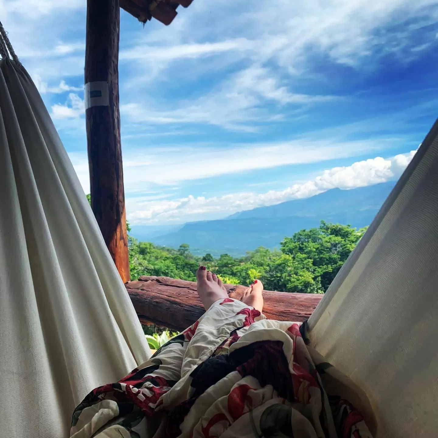 Natural landscape in El Paraiso - B&B Finca San Vicente