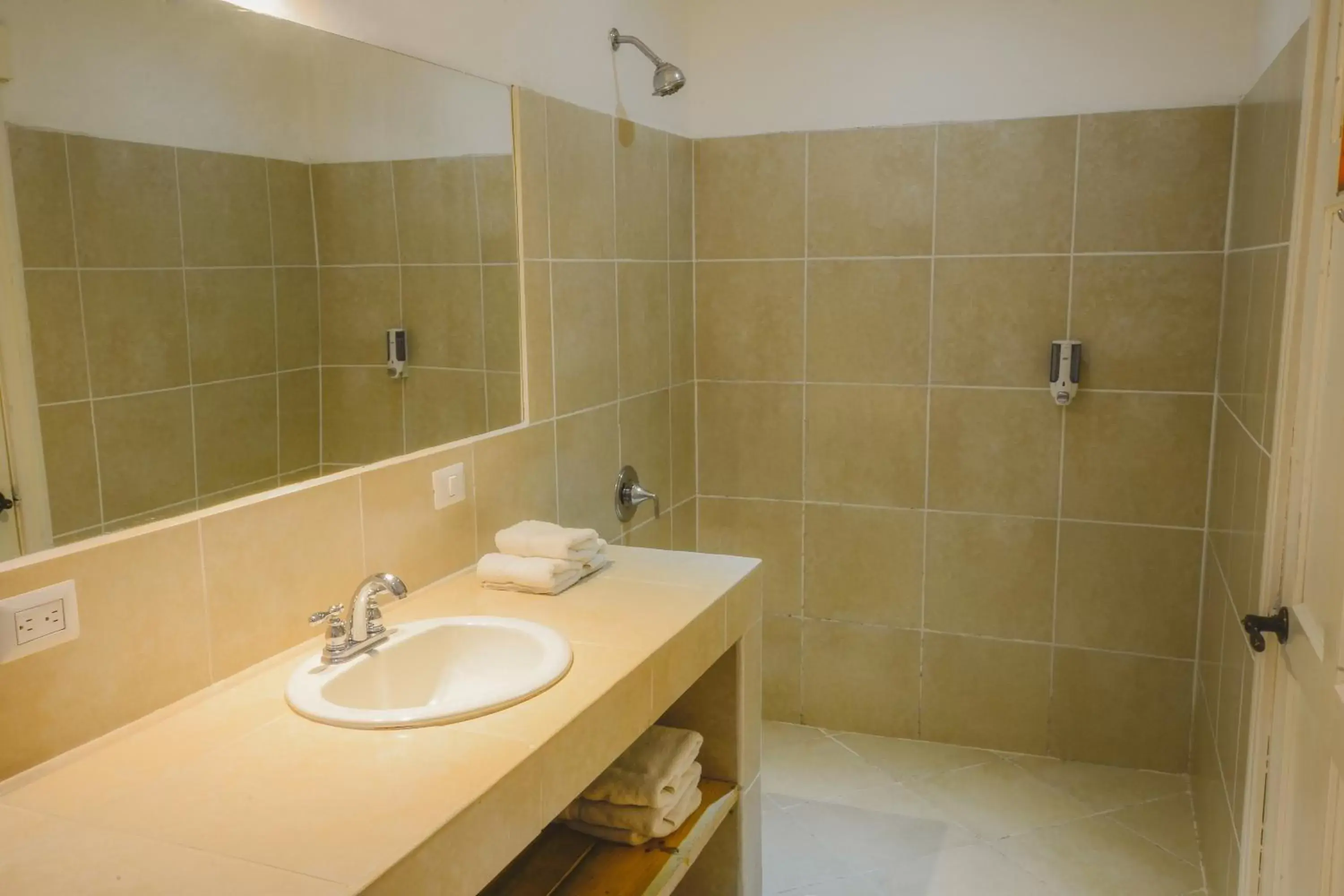 Shower, Bathroom in Hotel Luisiana