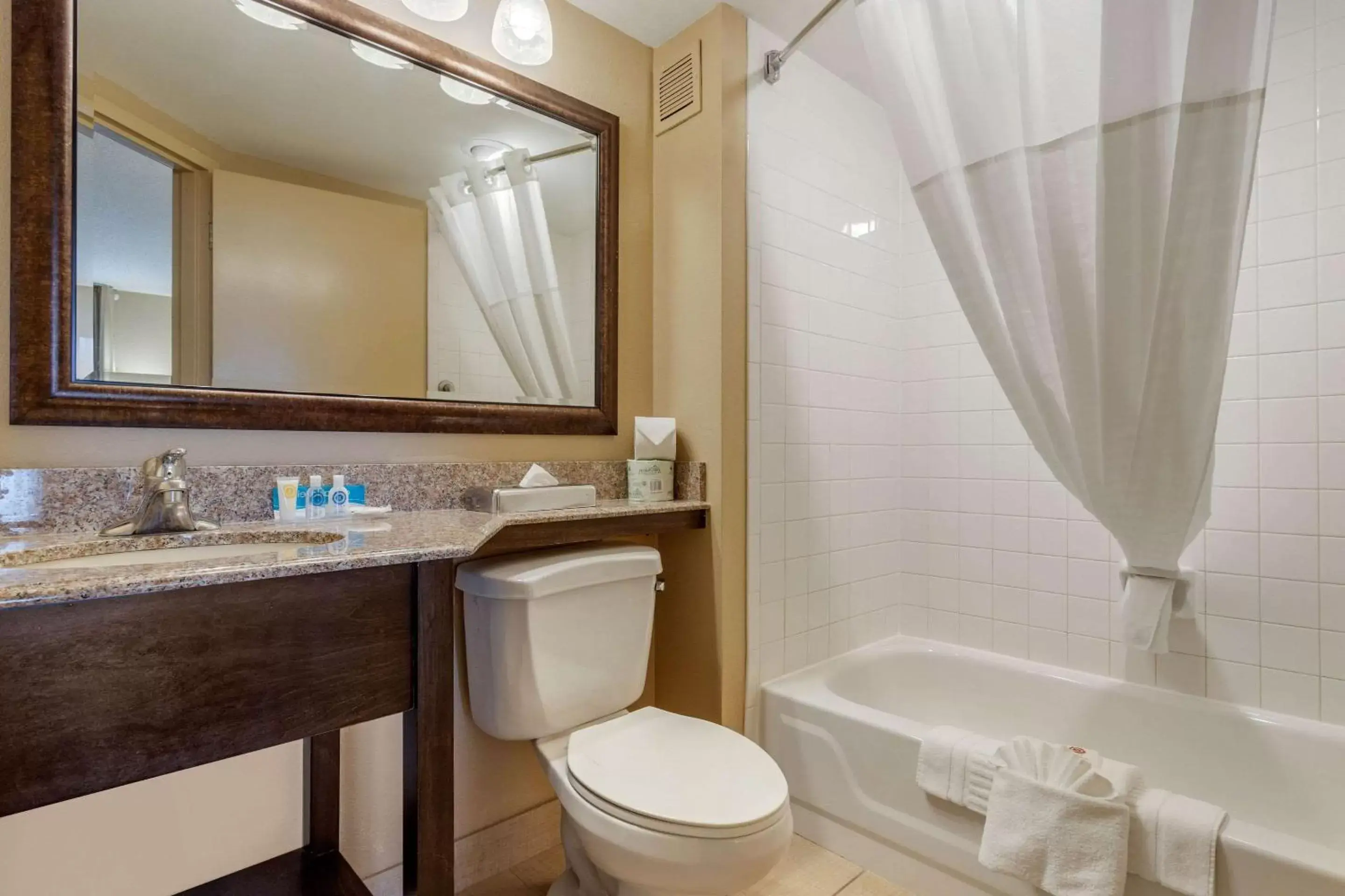 Bedroom, Bathroom in Comfort Inn 290/NW
