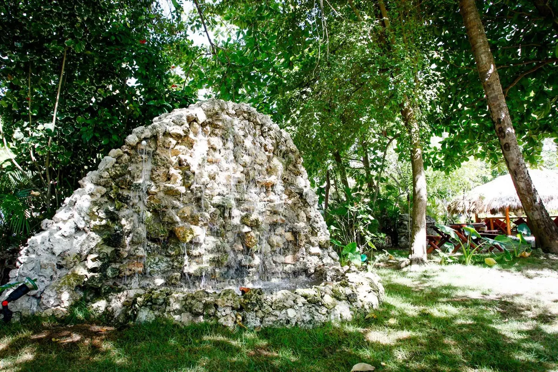 Day, Garden in Los Corales Beach Village