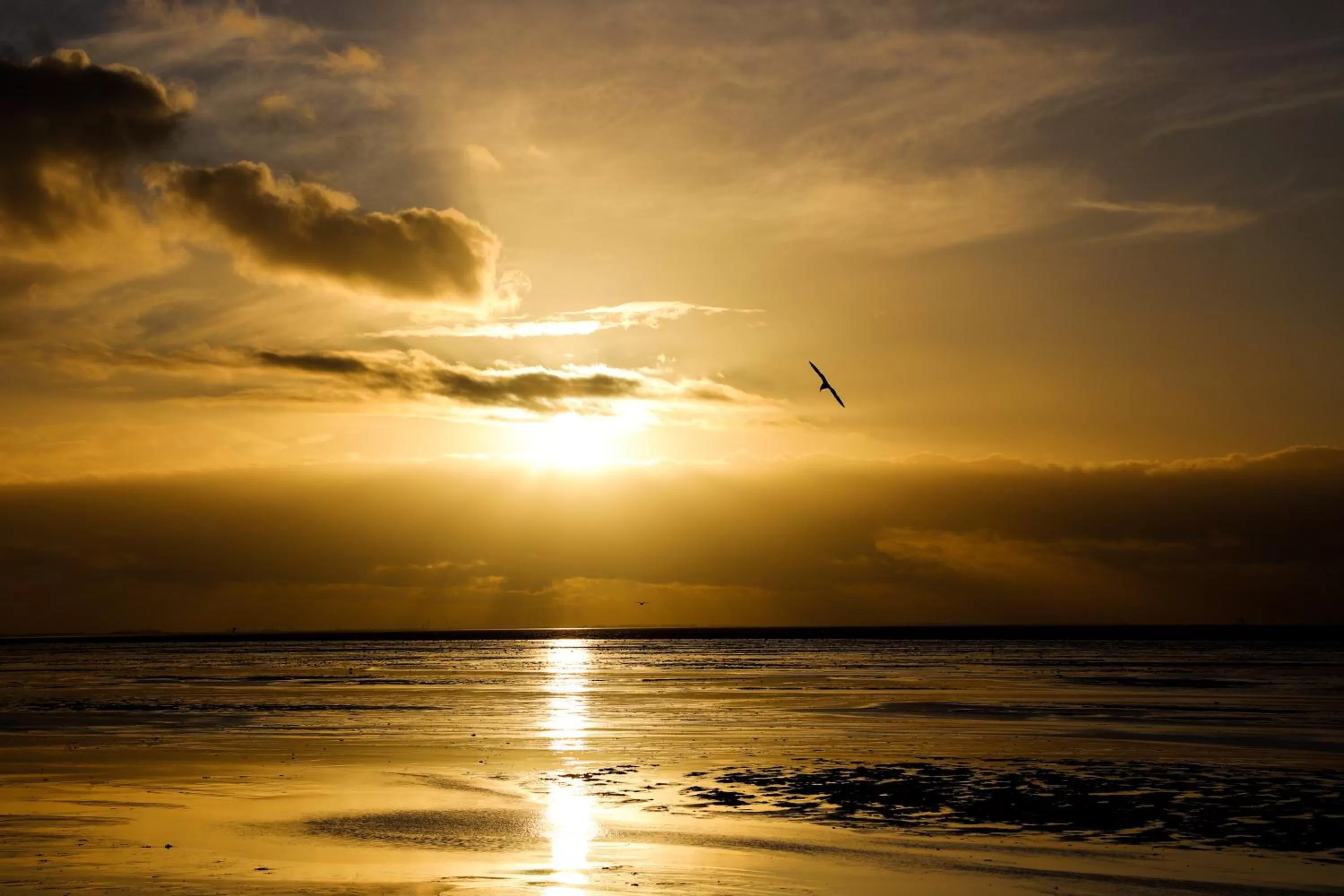 Beach in Norfolk Accommodation