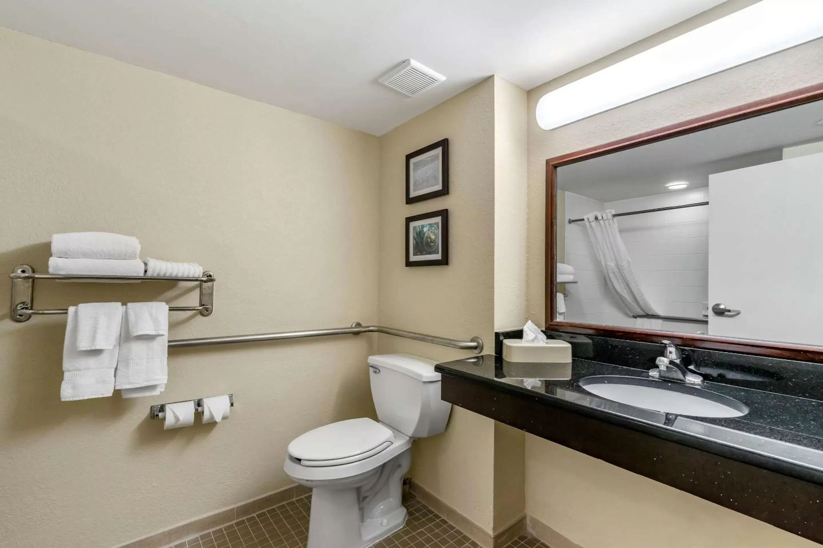 Bathroom in Comfort Inn & Suites St Pete - Clearwater International Airport