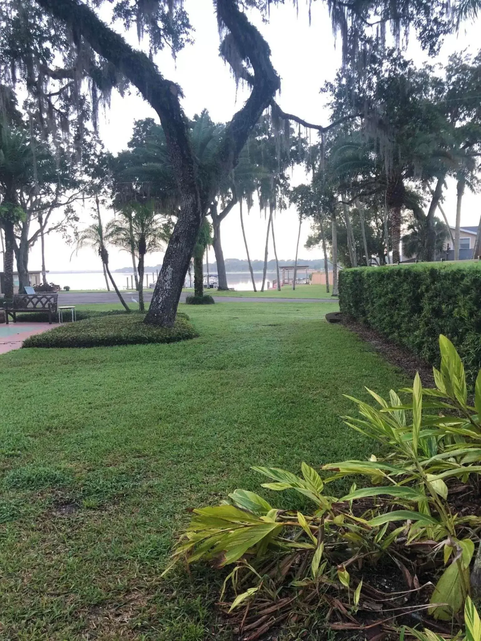 Garden in Tropical Marina & Resort on Lake Beresford