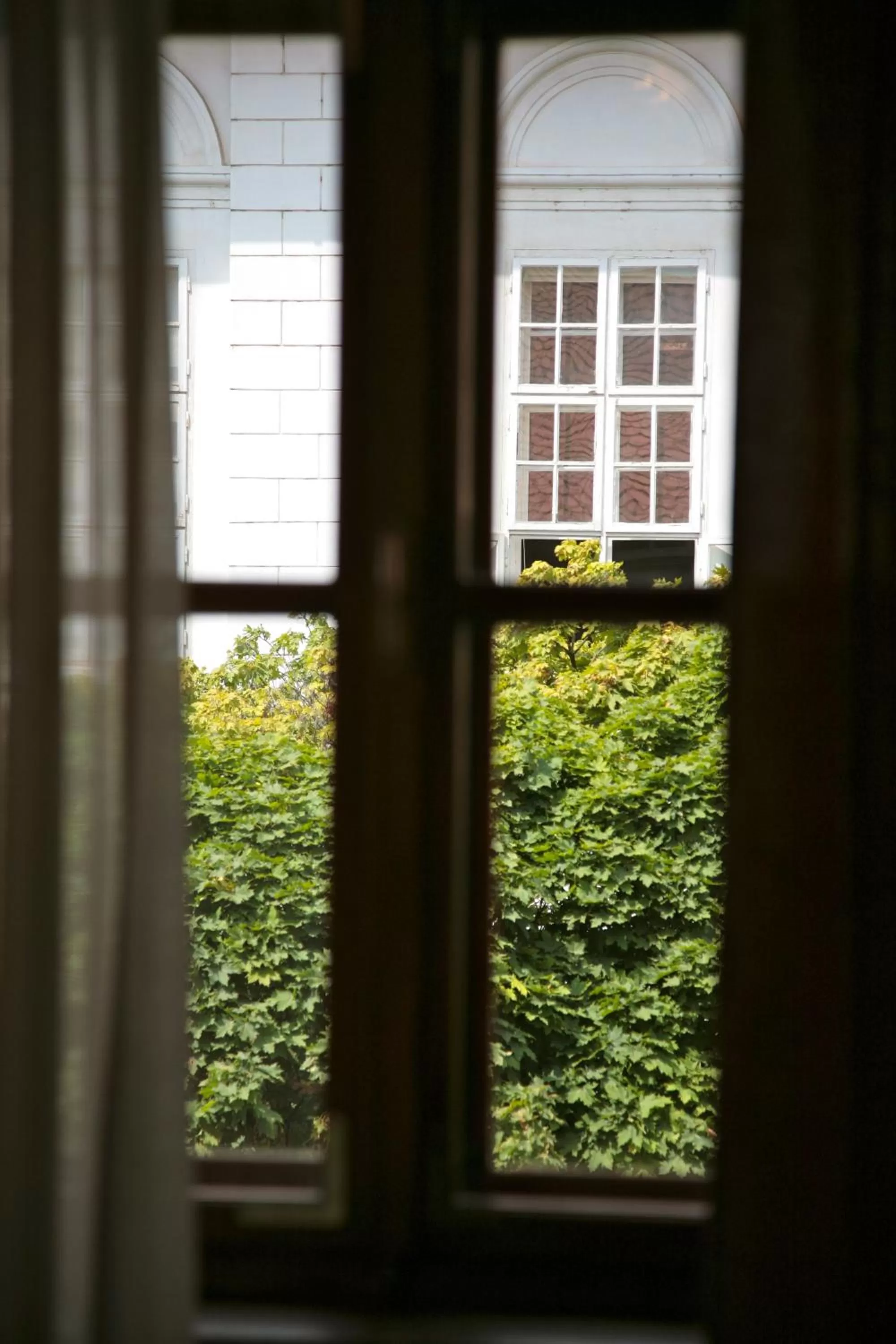 Street view in Maksimilian Osijek