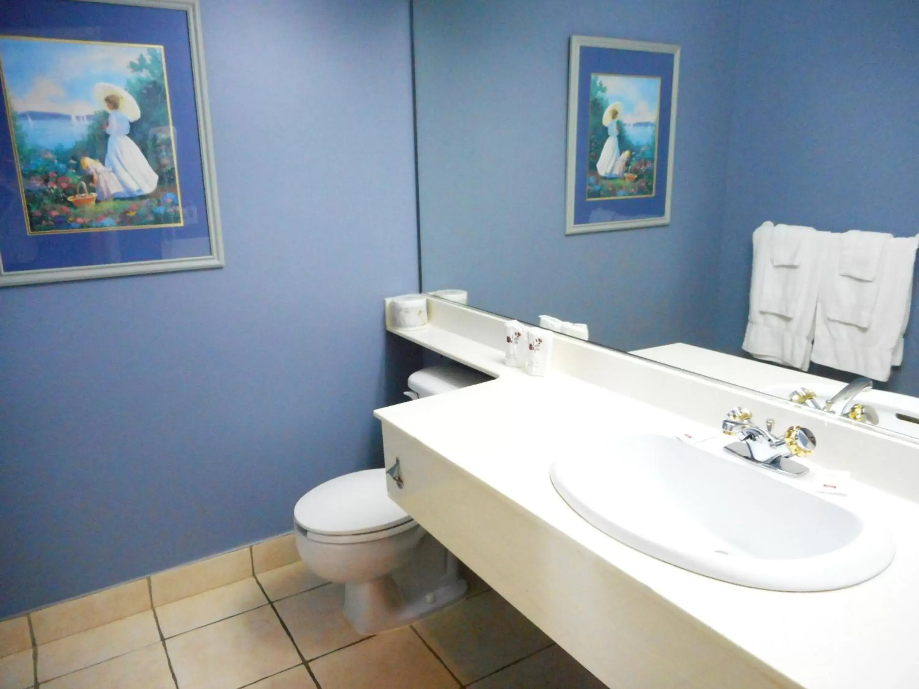 Bathroom in Chateau Repotel Duplessis Airport