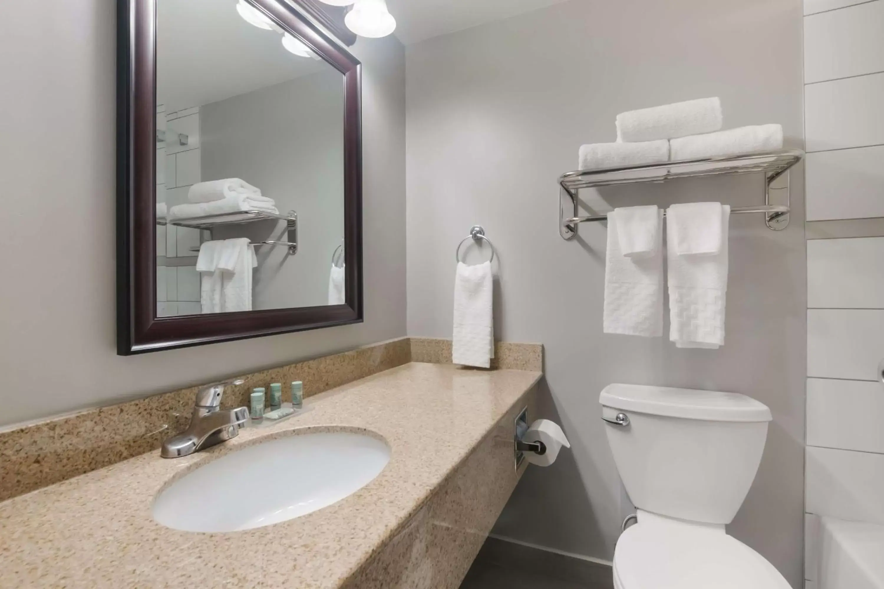 Bathroom in Best Western St Catharines Hotel & Conference Centre