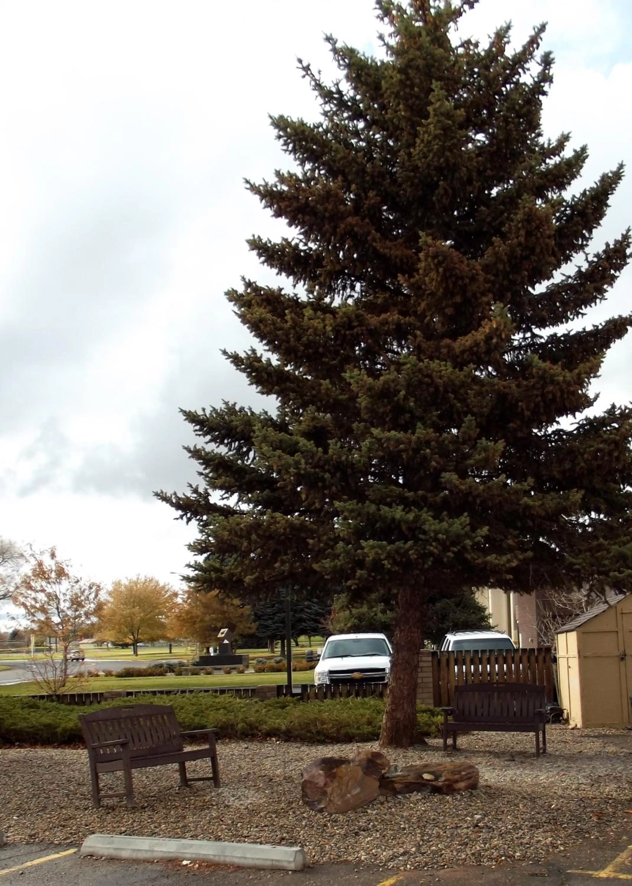 Facade/entrance in Super 8 by Wyndham Elko