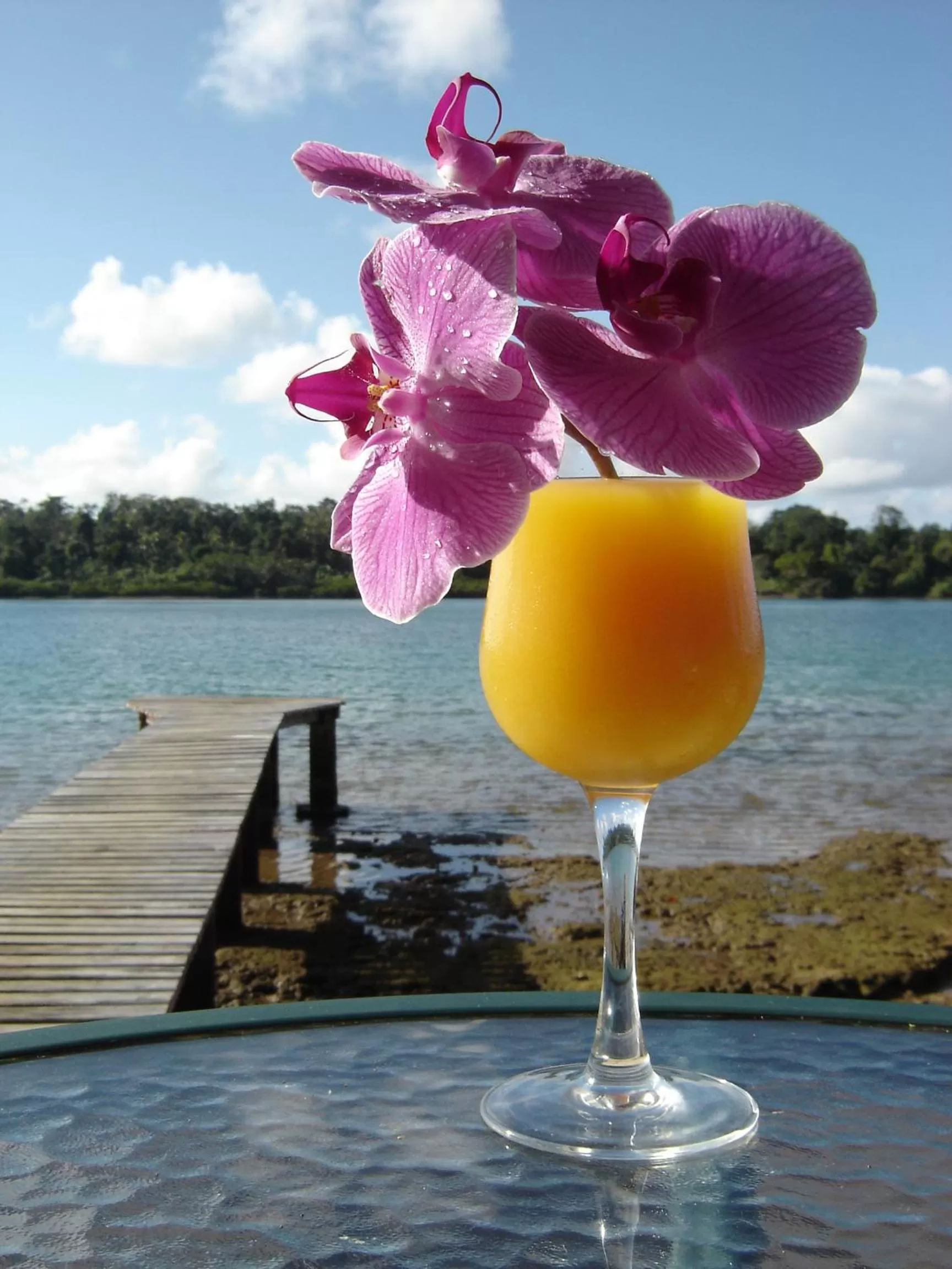 Day in Seachange Lodge