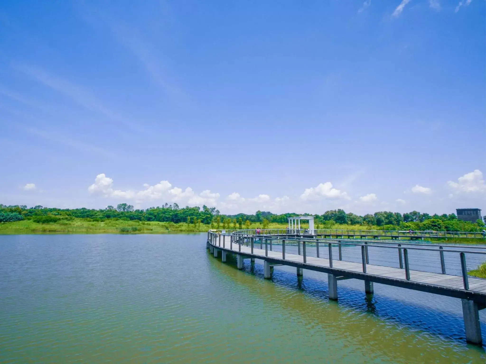 Activities in Hotel COZi Wetland