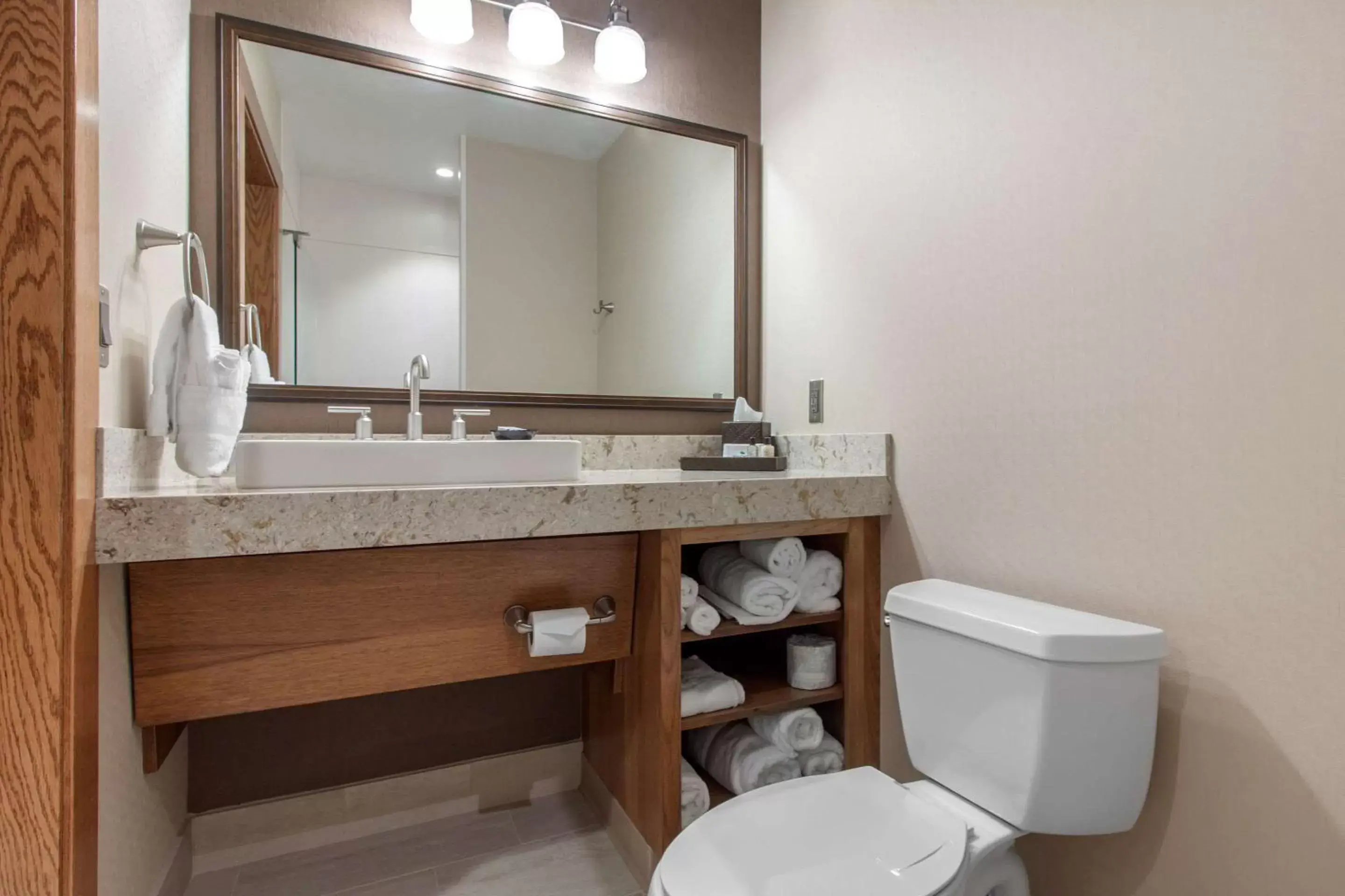 Bathroom in Norfolk Lodge & Suites, Ascend Hotel Collection