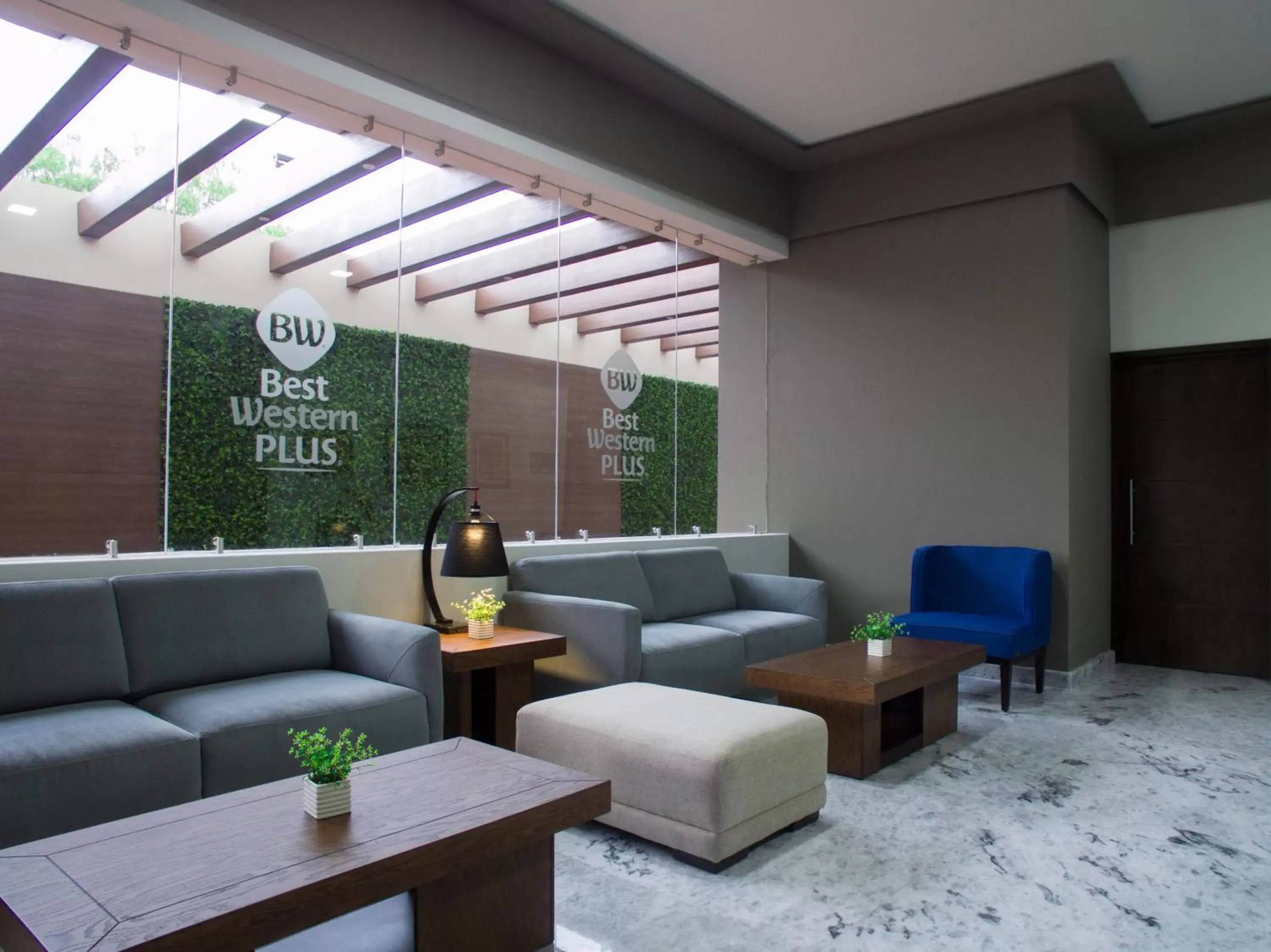 Seating Area in Best Western Plus Santa Cecilia Pachuca