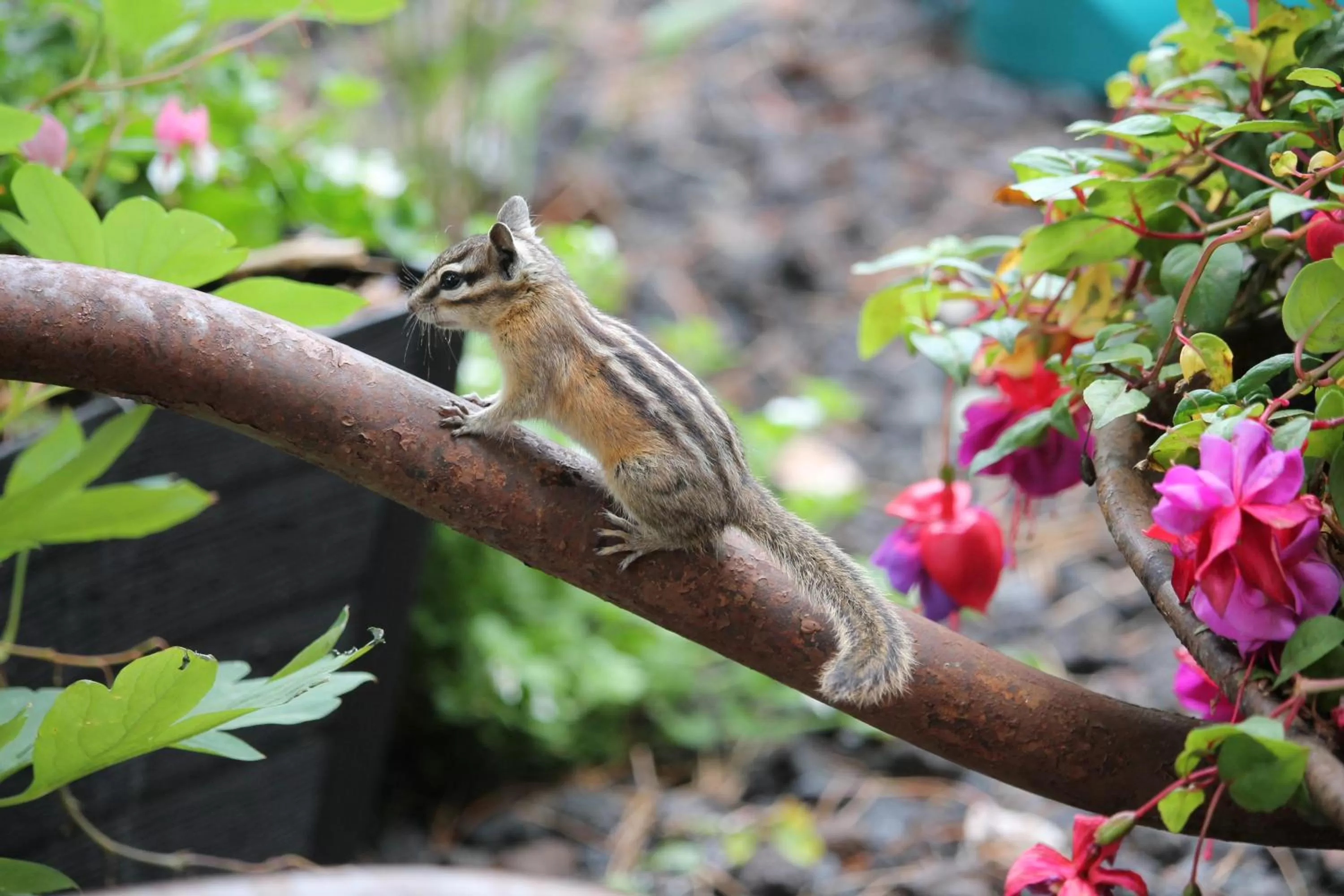 A Suite Retreat - Beyond Bed & Breakfast