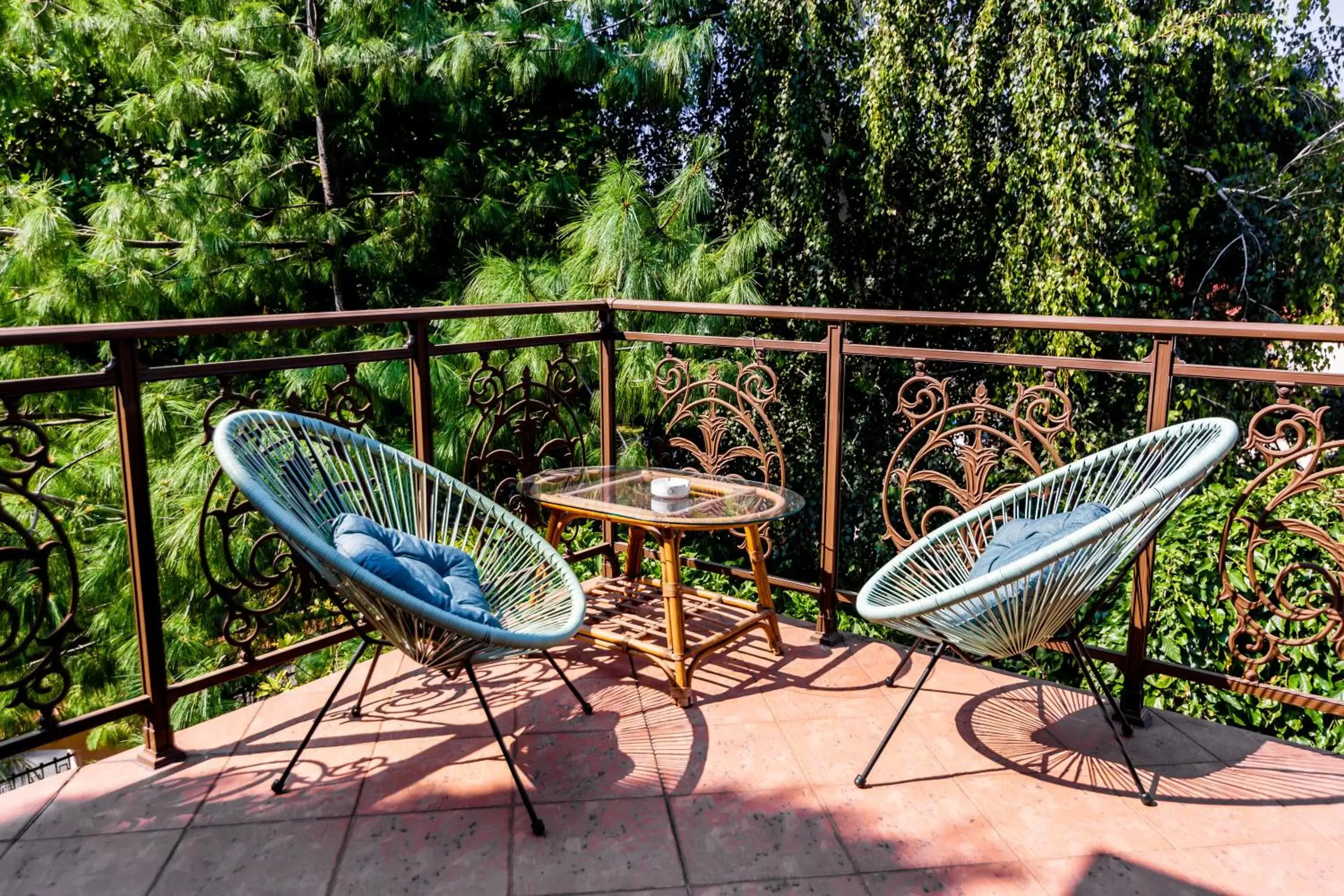 Patio, Balcony/Terrace in Hotel Golden House