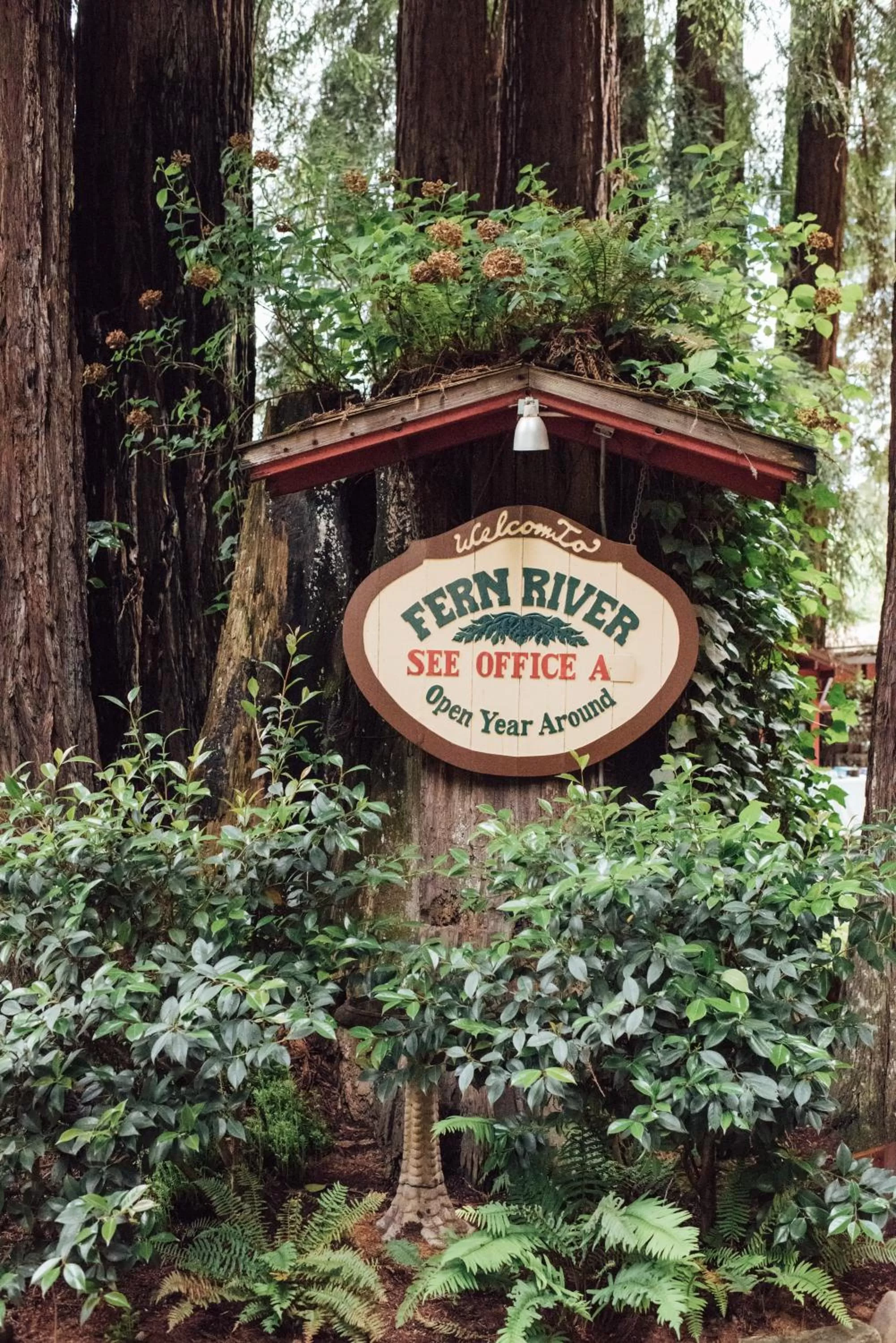 Facade/entrance in Fern River Resort