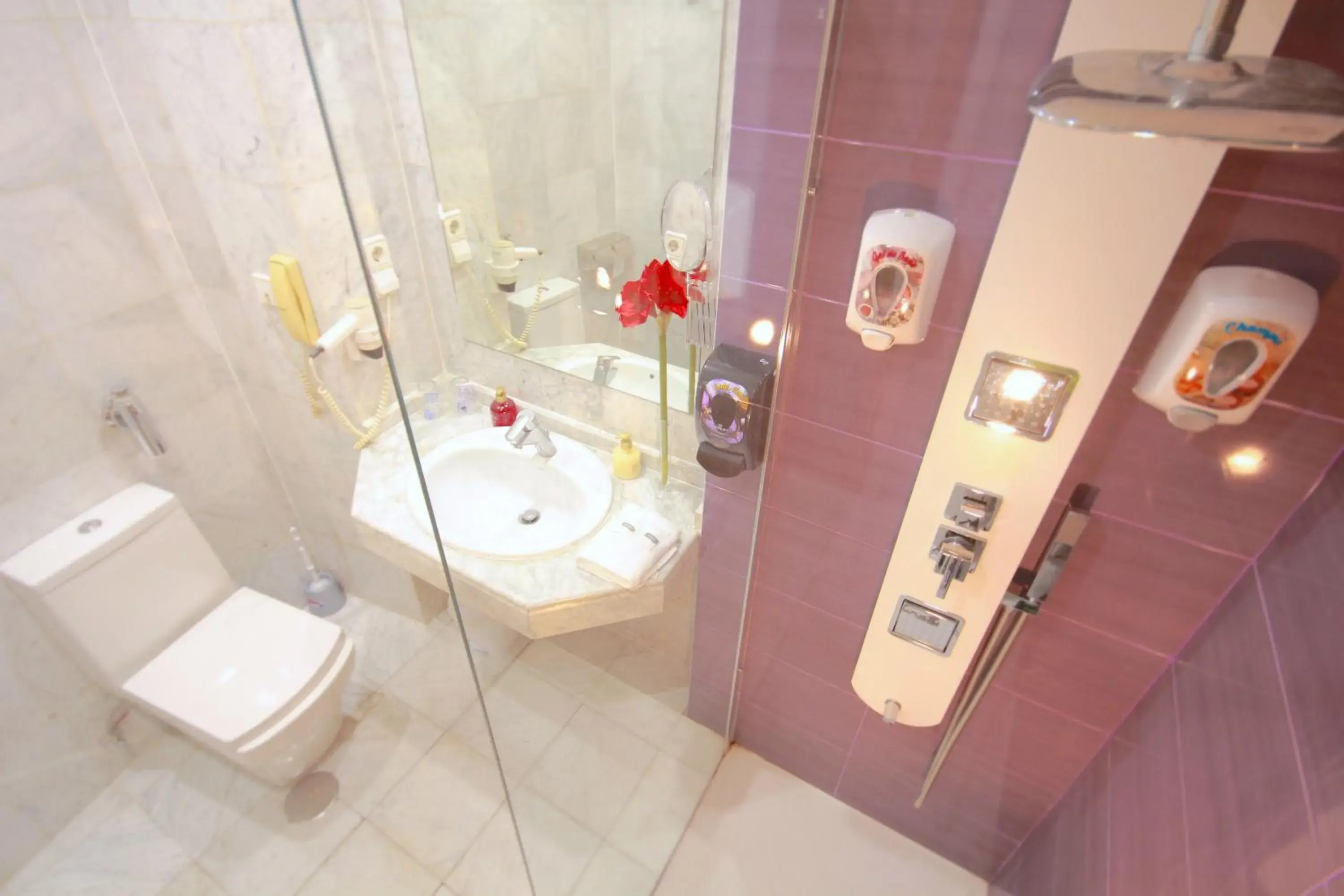 Shower, Bathroom in Erase un Hotel