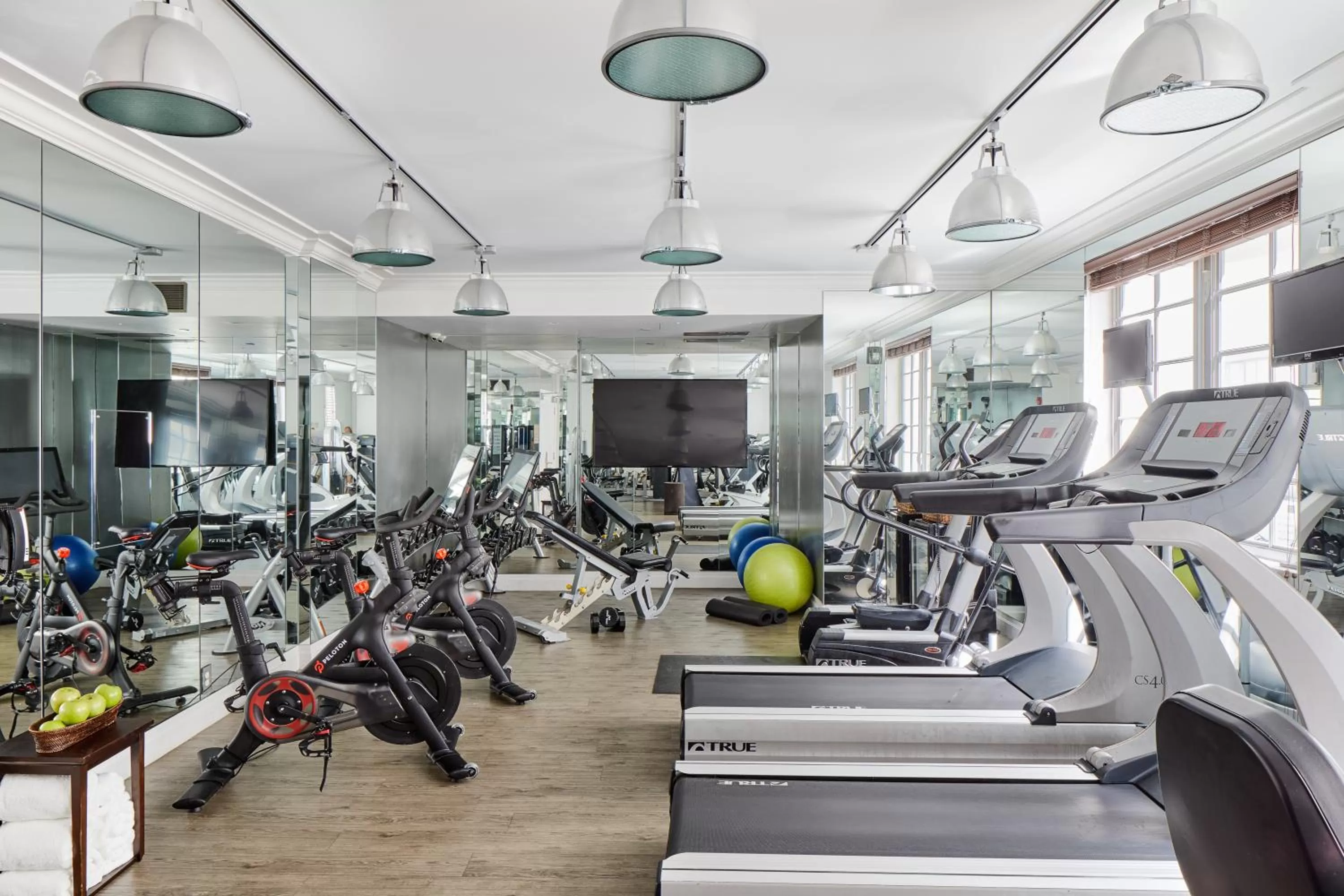 Fitness centre/facilities in The Betsy Hotel, South Beach