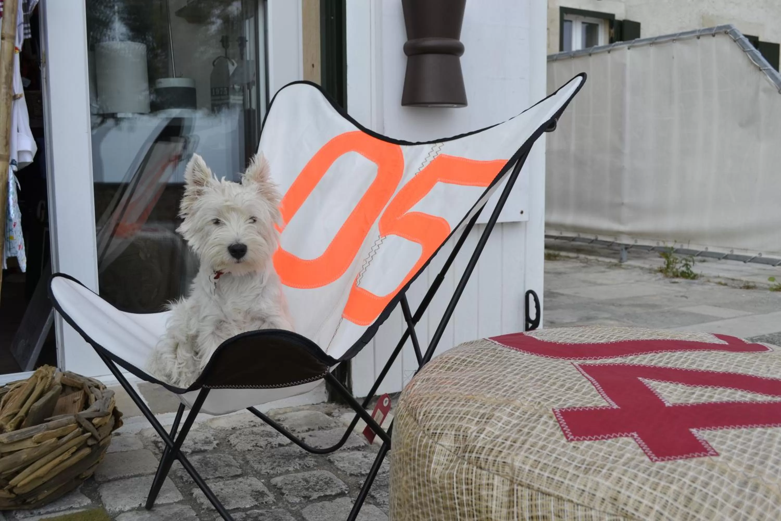 On-site shops in Le Mole (Appartements et Chambres)