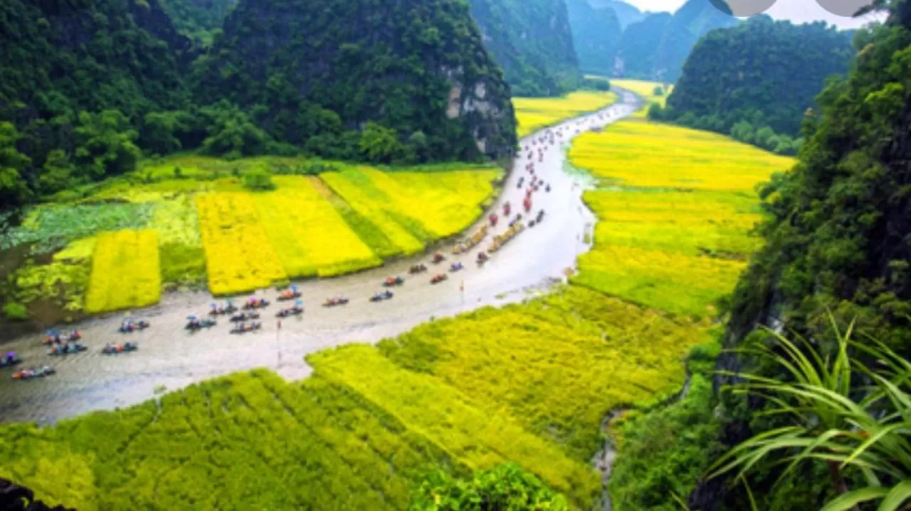 Natural landscape in Green Space Homestay