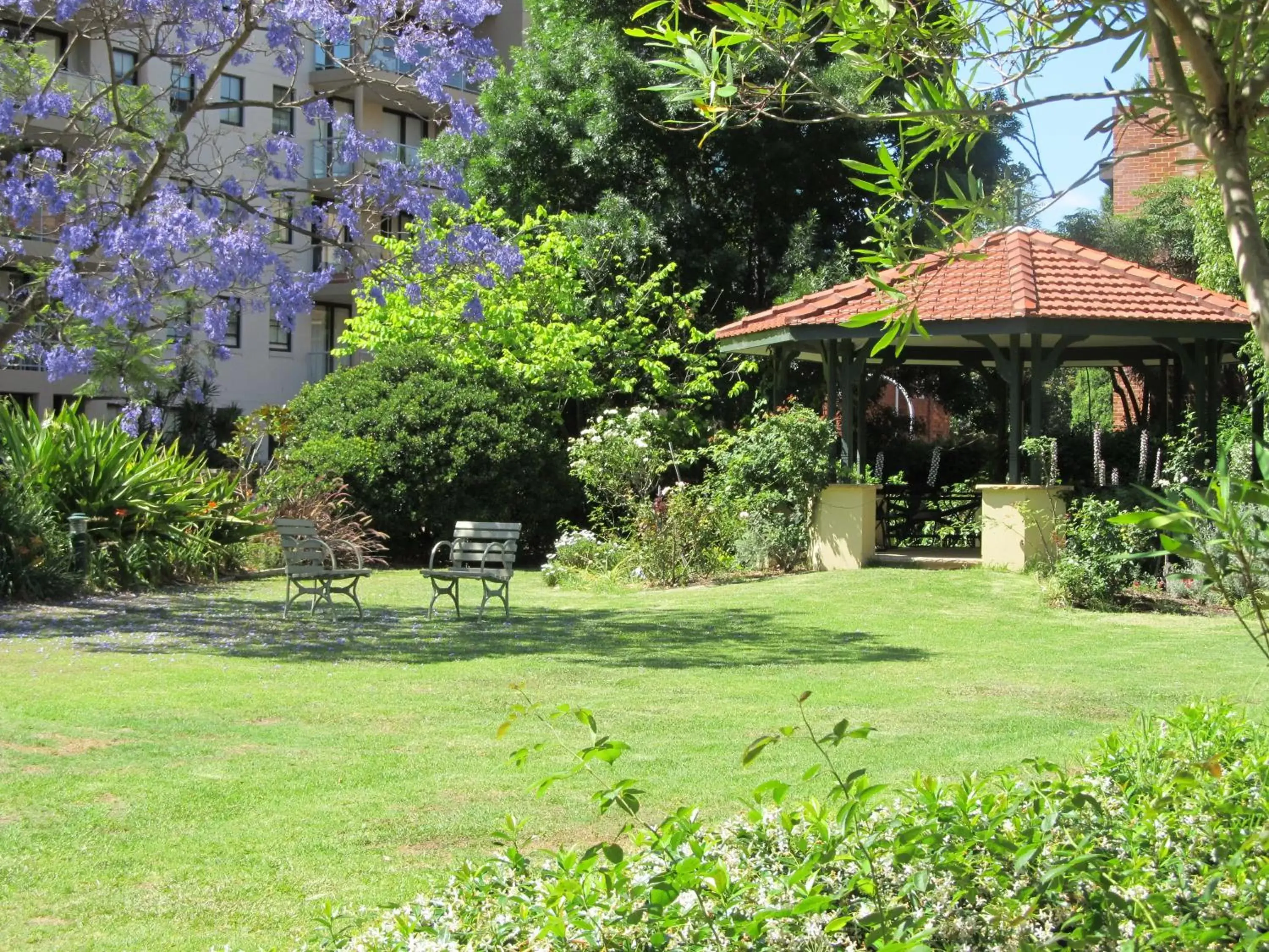 Garden in Mary MacKillop Place
