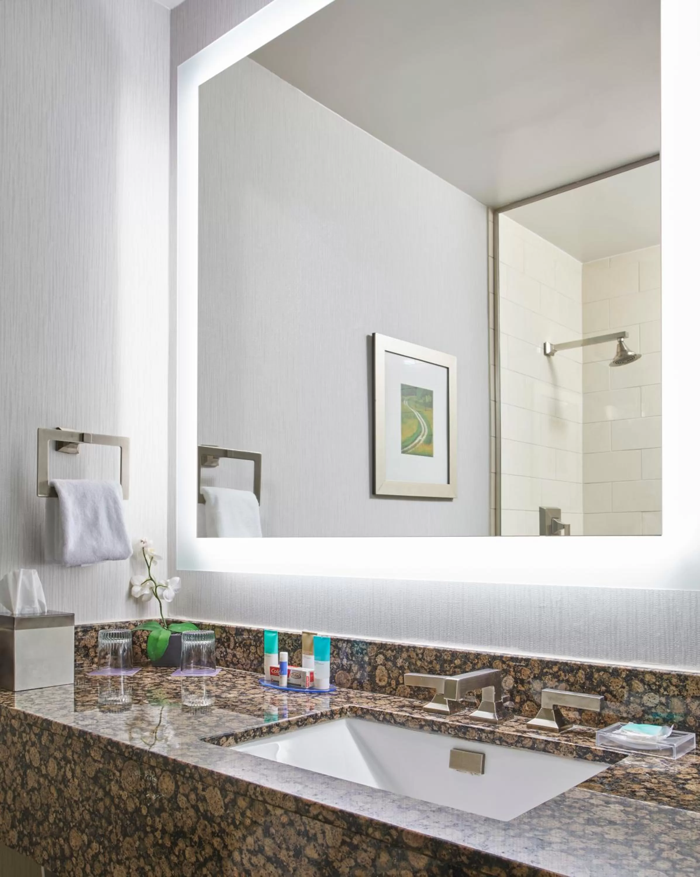 King Room with View in Hyatt Regency Lexington