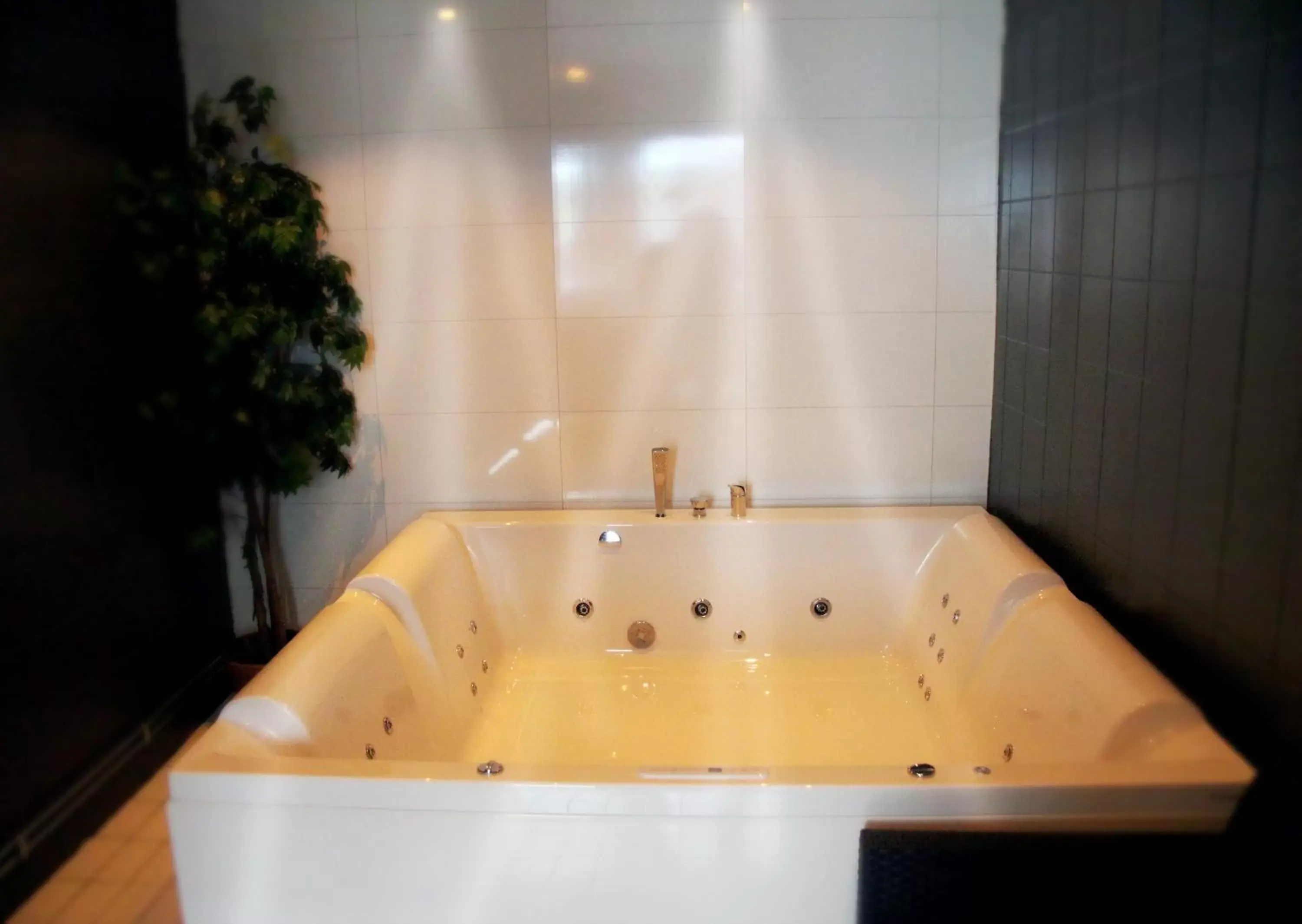 Hot Tub in Sure Hotel by Best Western Focus