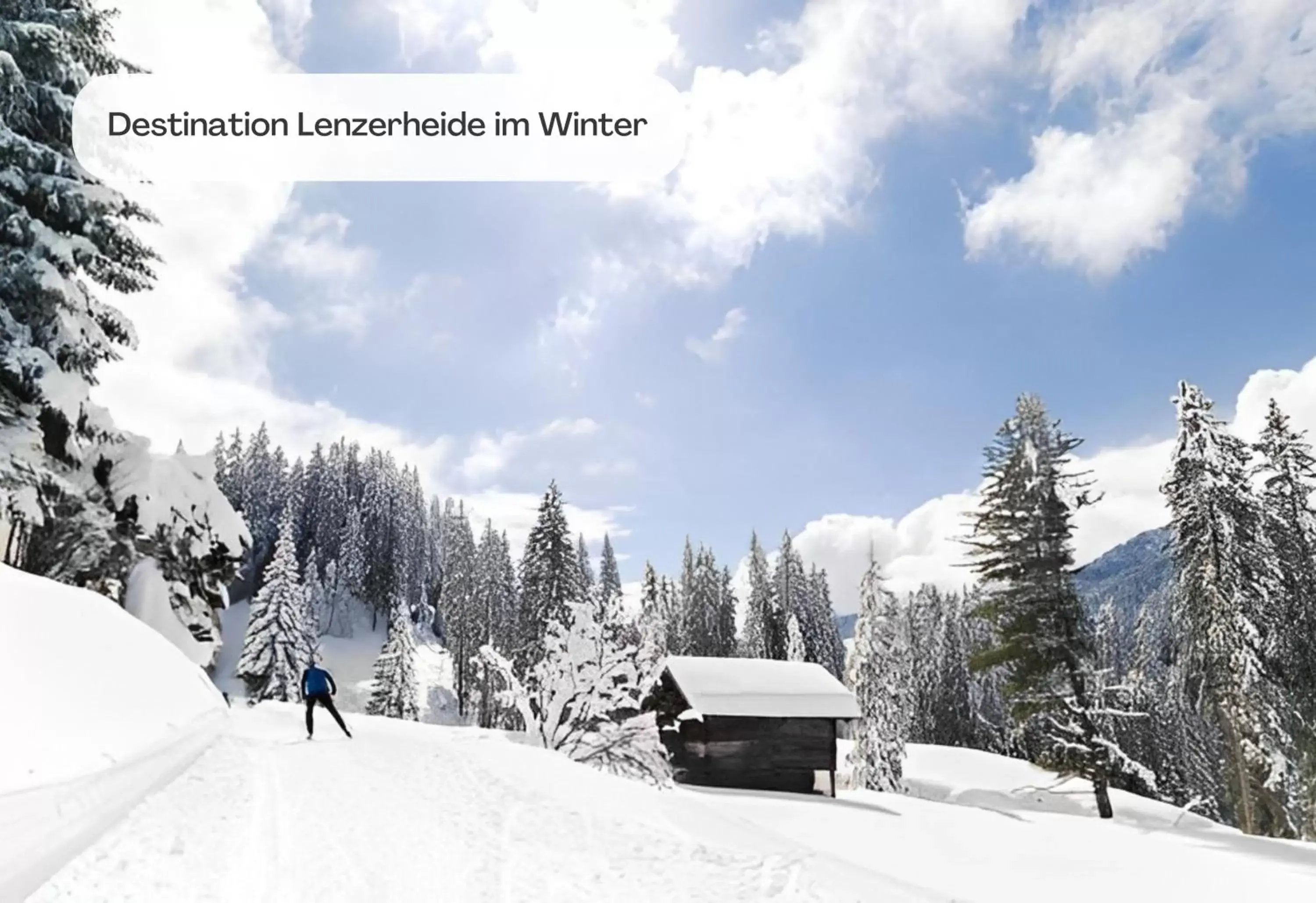 Natural landscape, Winter in Hotel Lenzerhorn