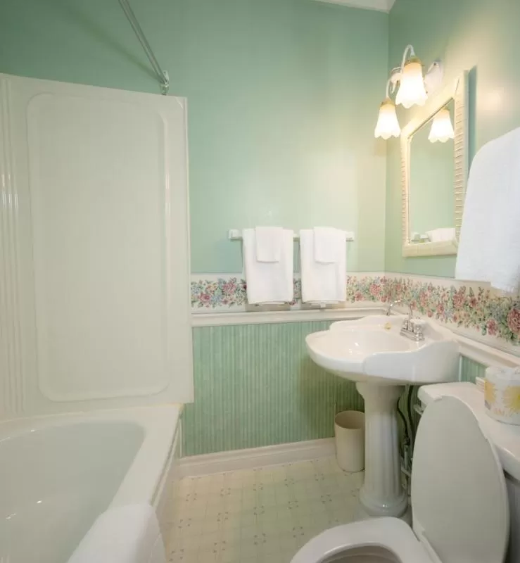 Toilet in Telegraph House Motel