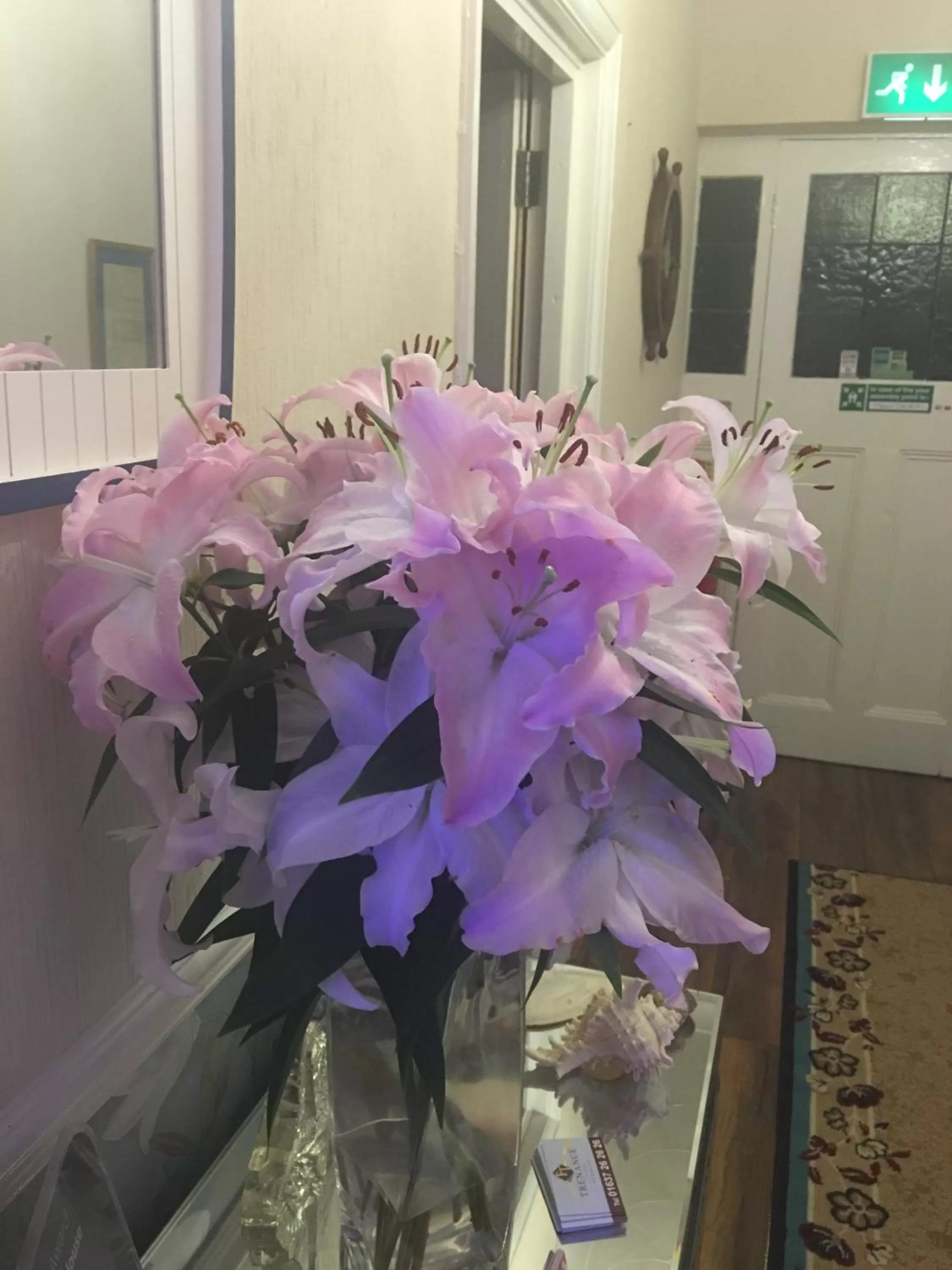 Other in Jasmine House