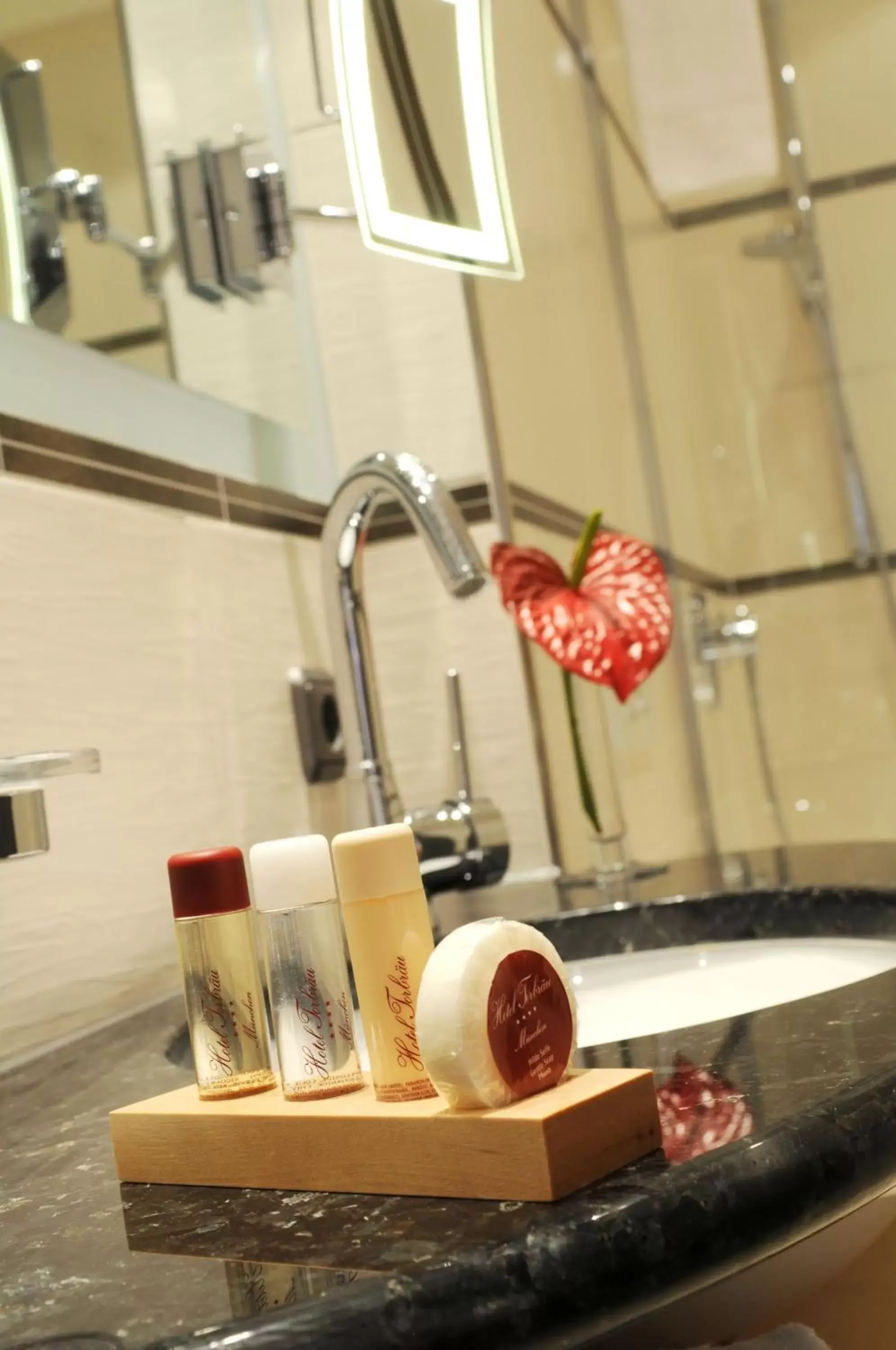 Bathroom in Hotel Torbräu