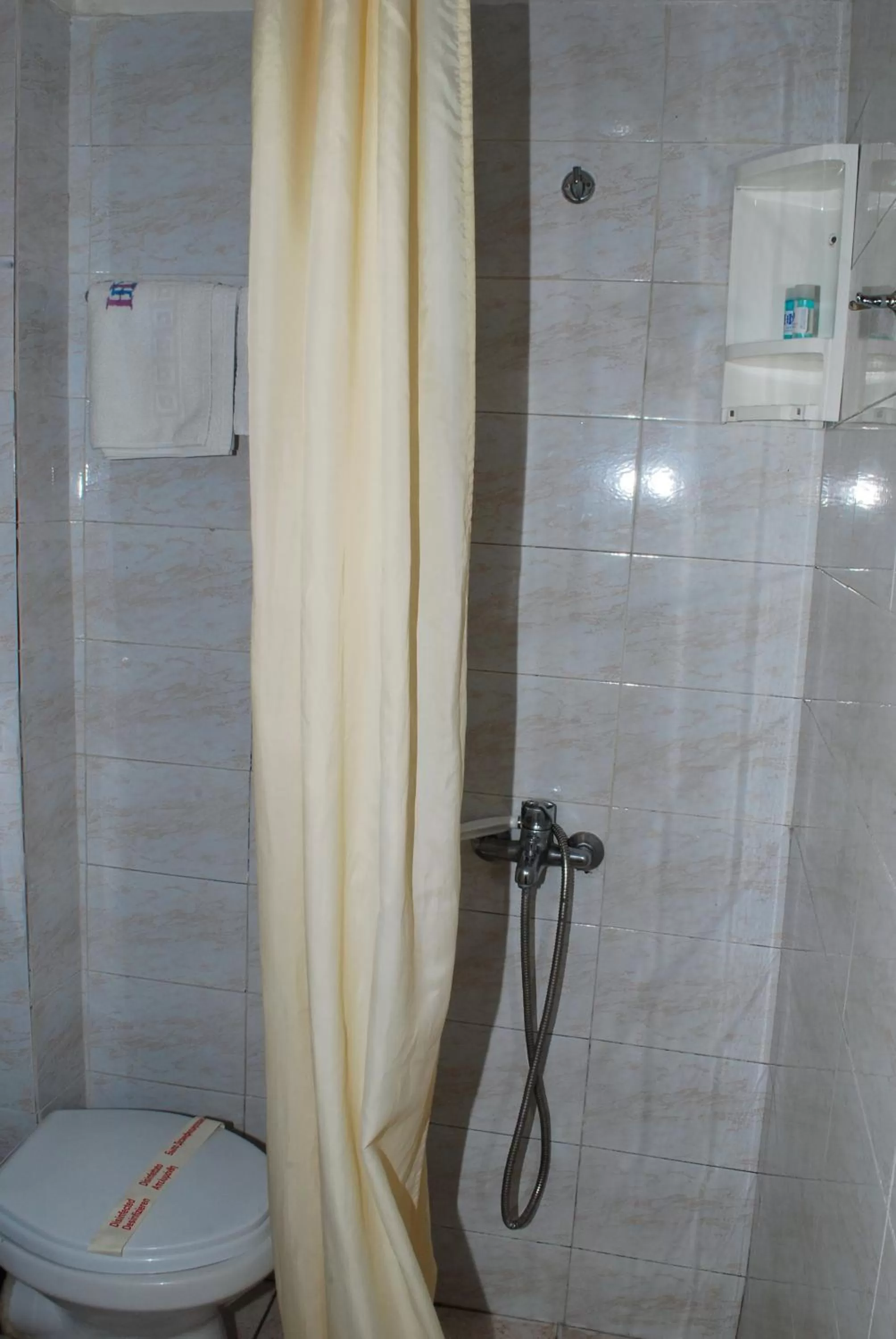 Toilet in Diethnes Hotel