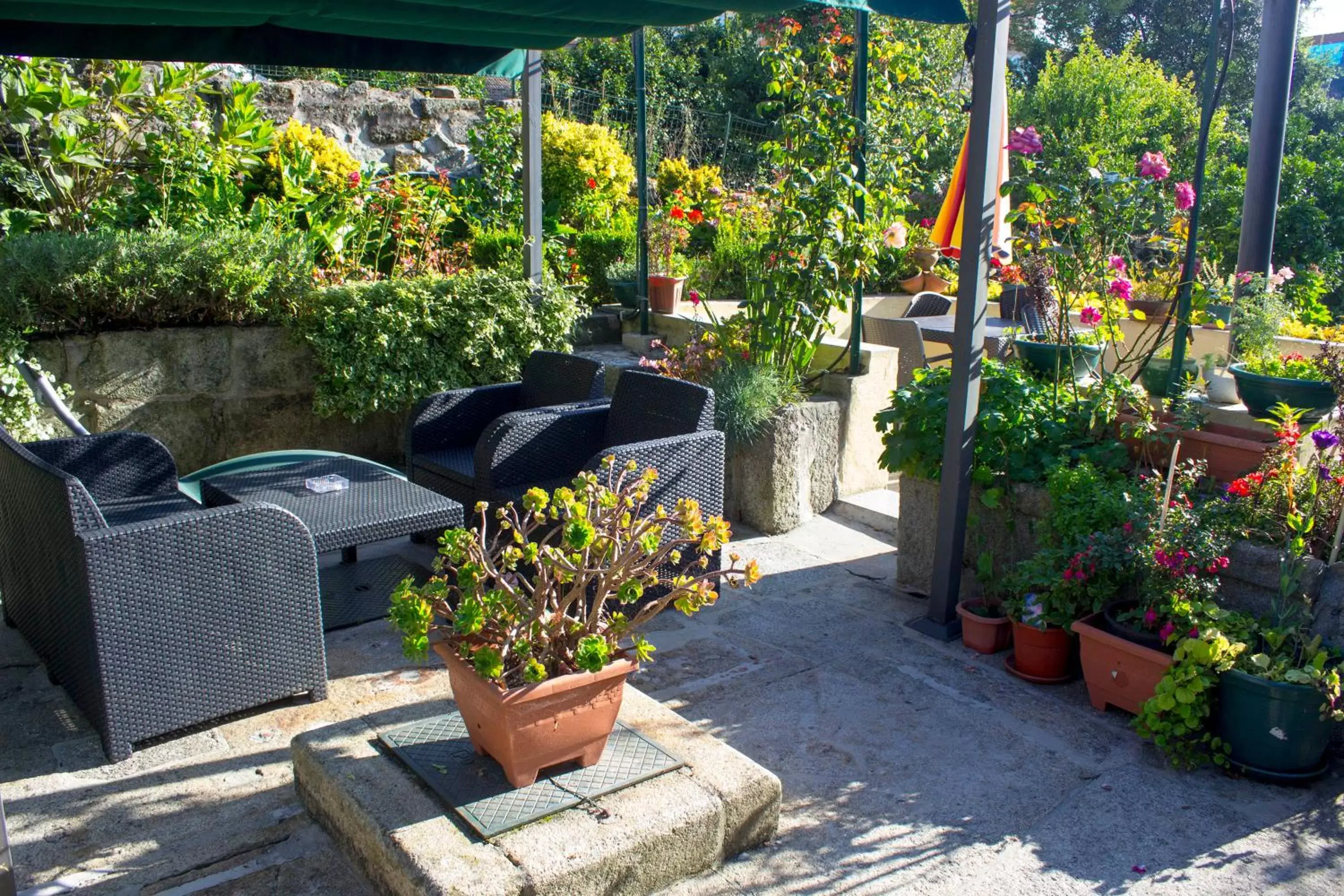 Garden in Hotel Estoril Porto