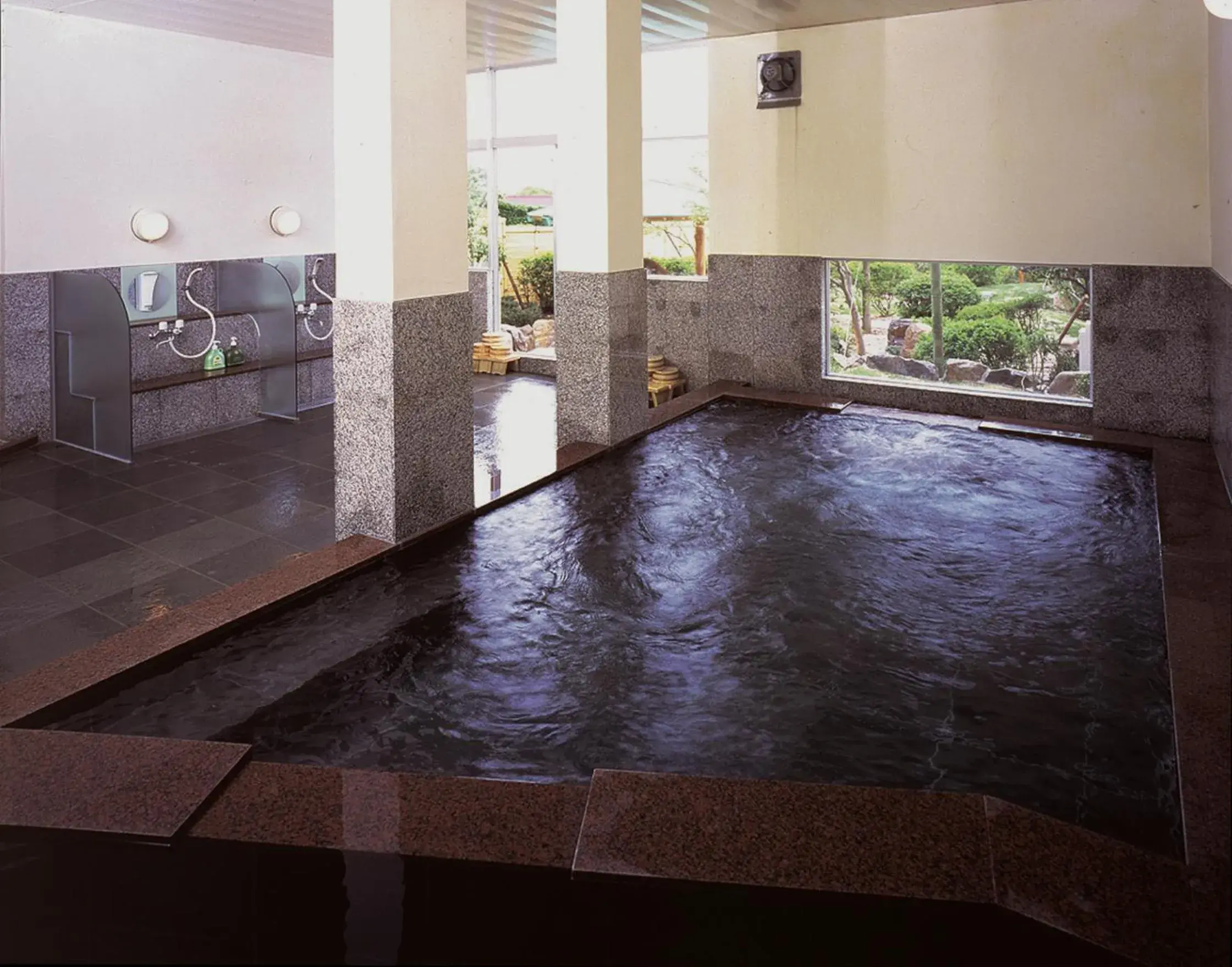 Public Bath, Swimming Pool in Satsuki Bessou Ryokan