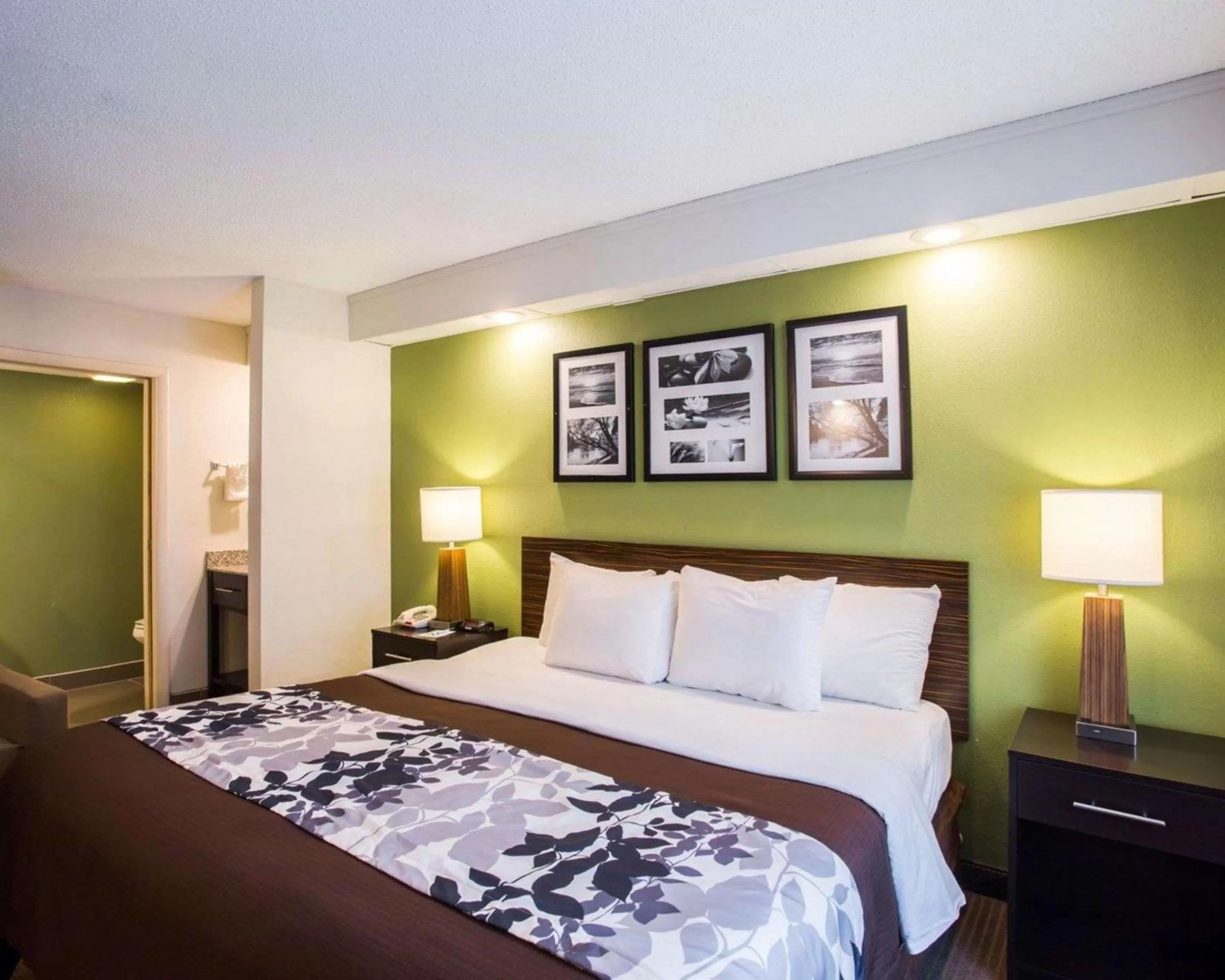 Photo of the whole room, Bed in Sleep Inn Nashville North - Downtown Area