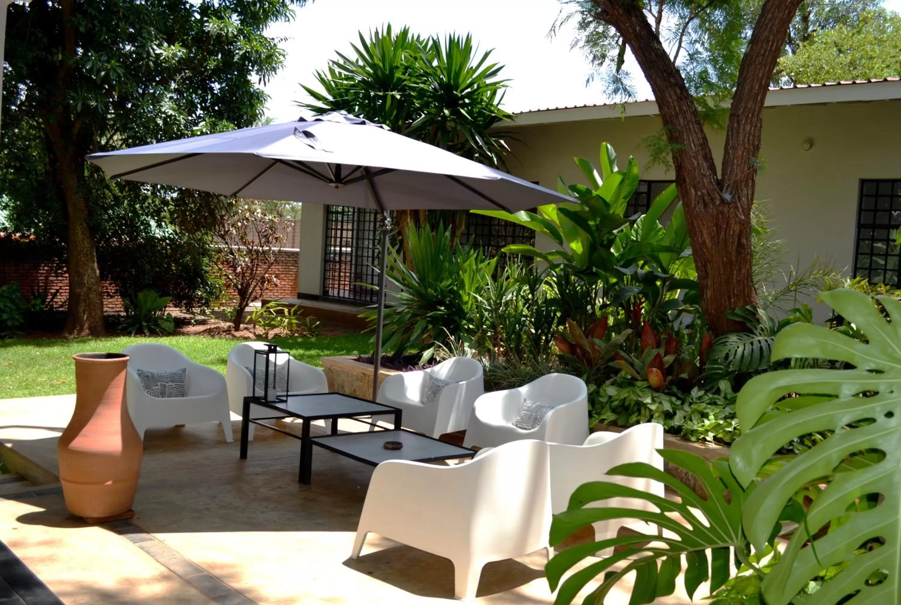 Patio in Mitengo House