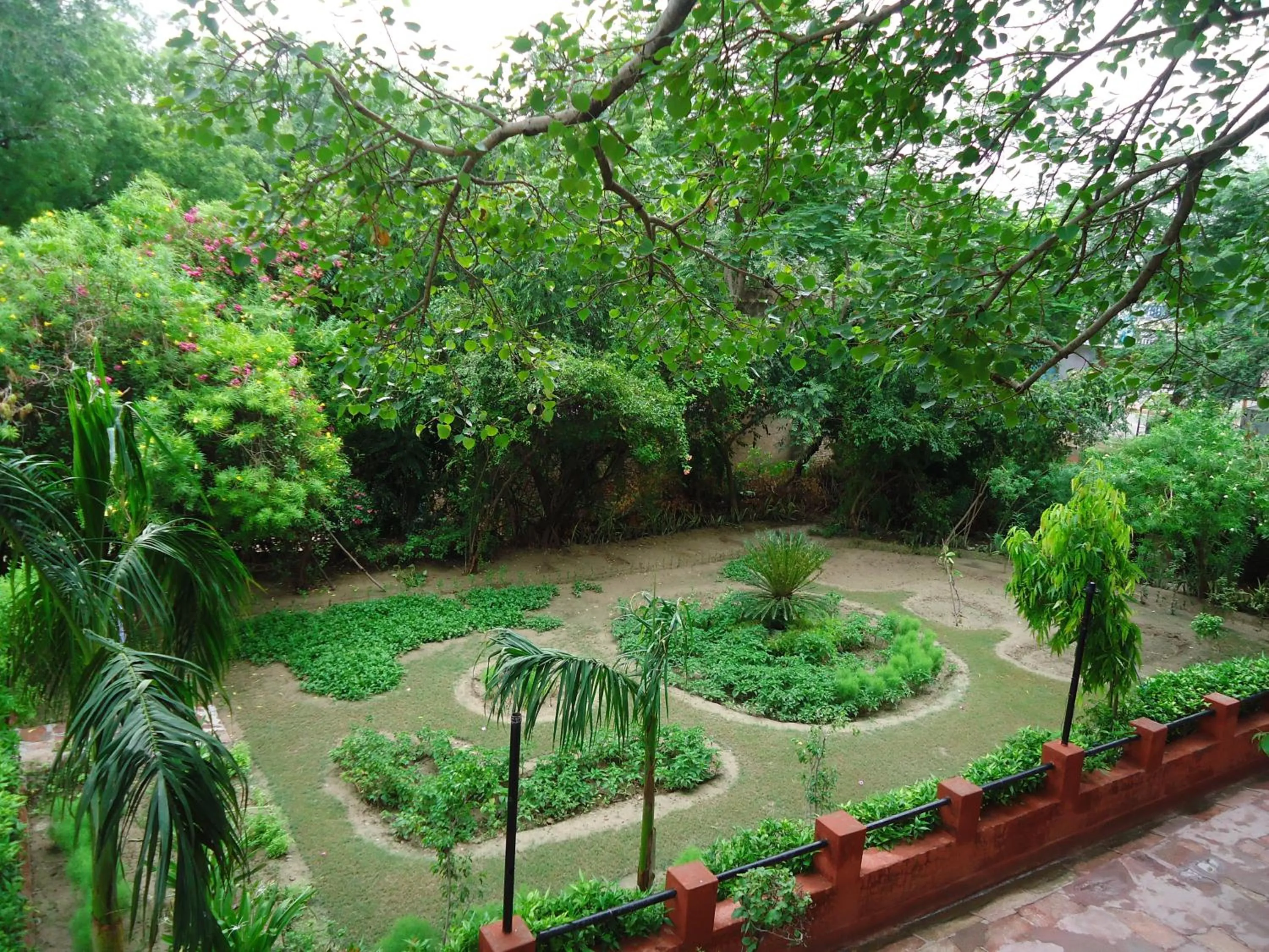 Garden in Hotel Sheela, 100m from Taj Mahal