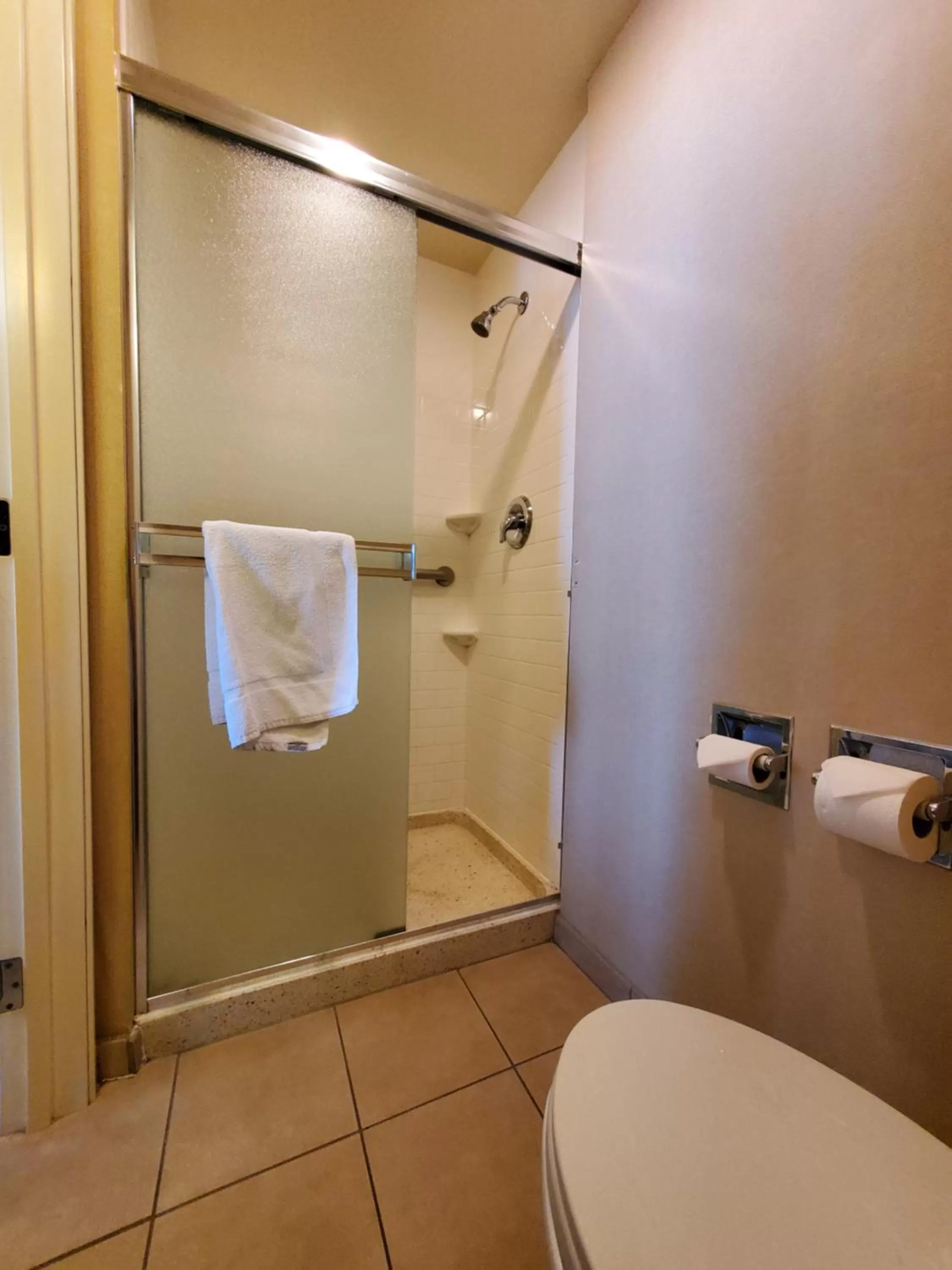 Shower in Royal Pacific Motor Inn