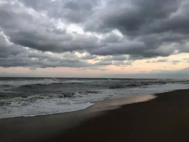 Beach in Swell Motel