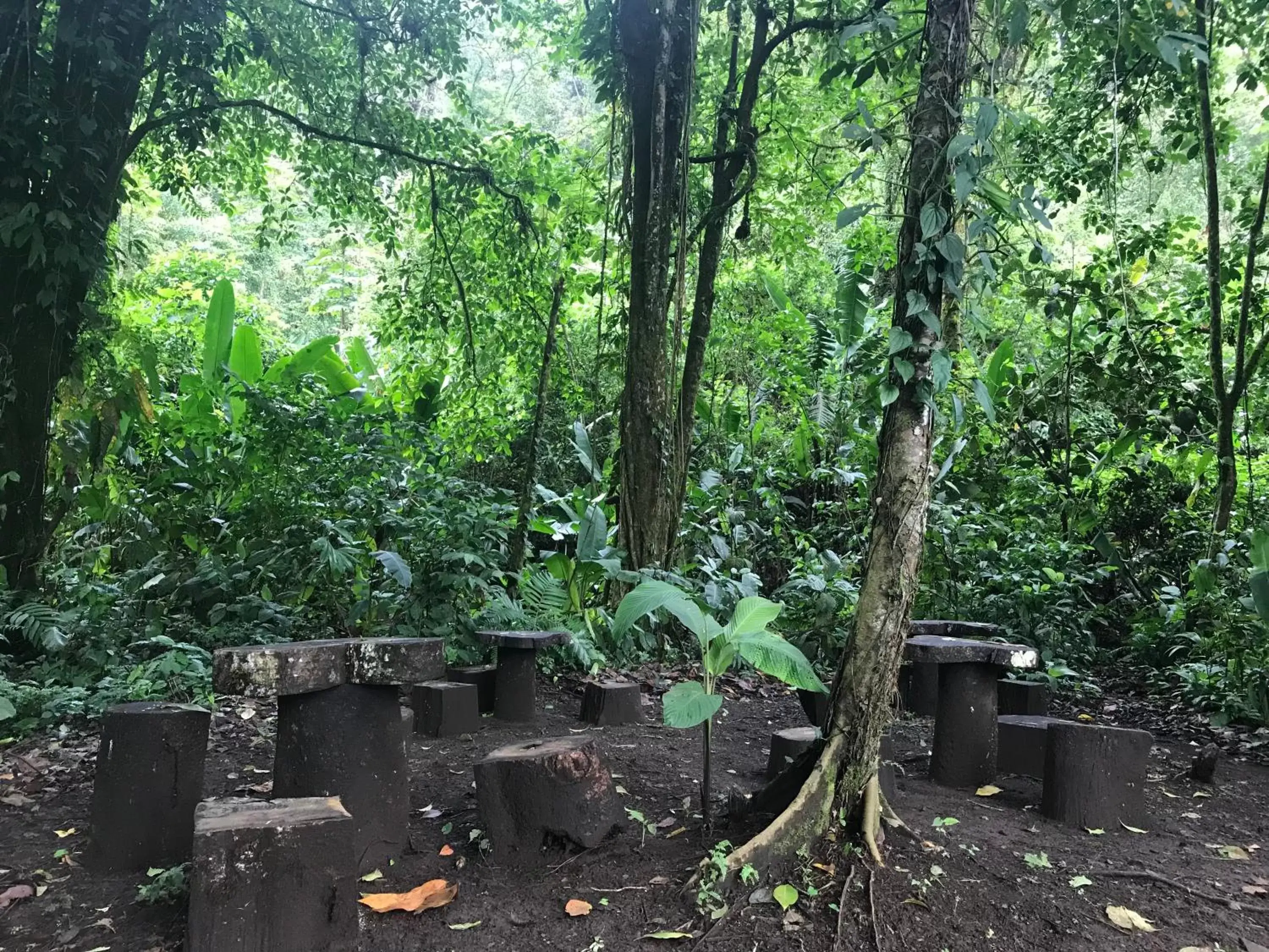 Natural landscape in Arenal Roca Suites