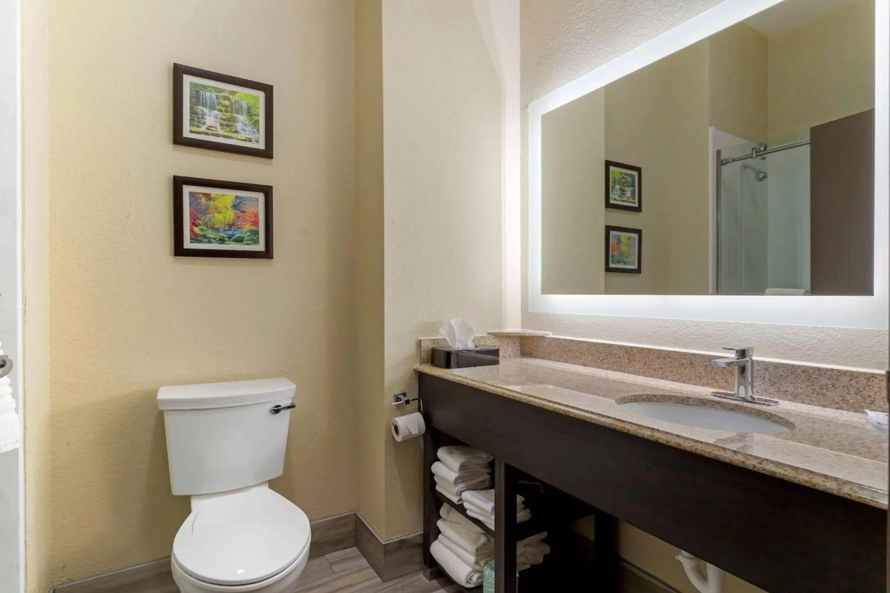 Photo of the whole room, Bathroom in Comfort Suites Kingwood Humble Houston North