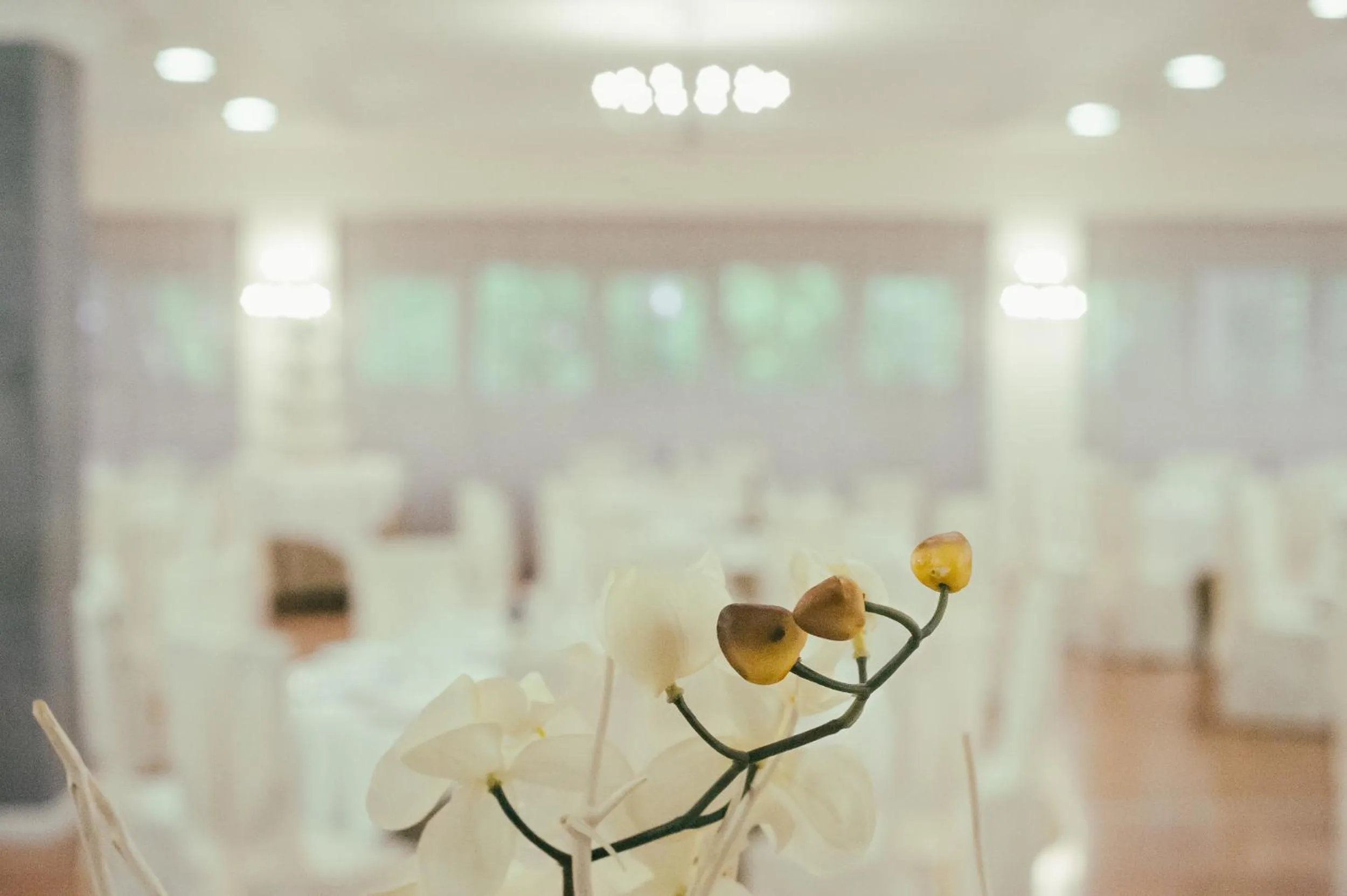 Restaurant/places to eat in Hotel Garden Experience