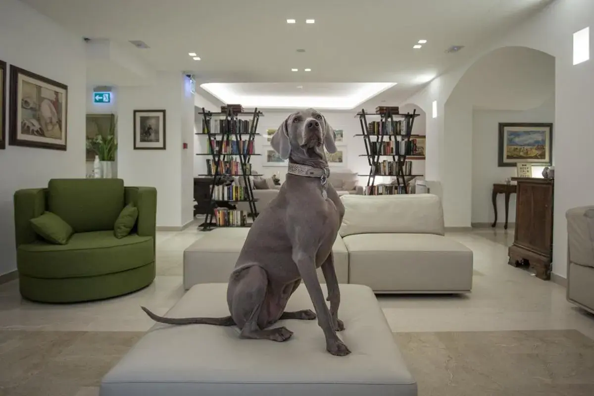 Library in Hotel Principe