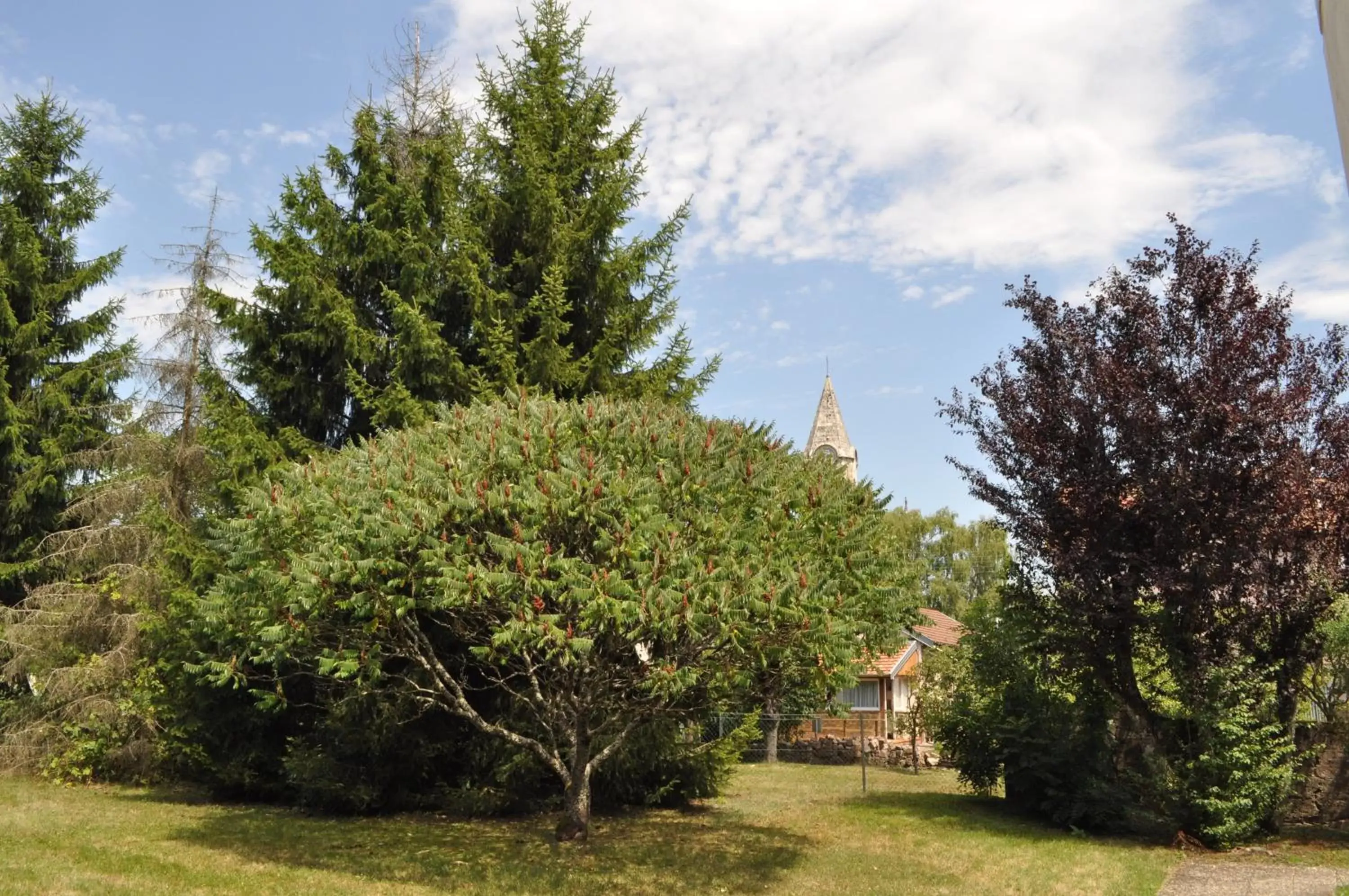 Garden view in ibis Belfort Danjoutin