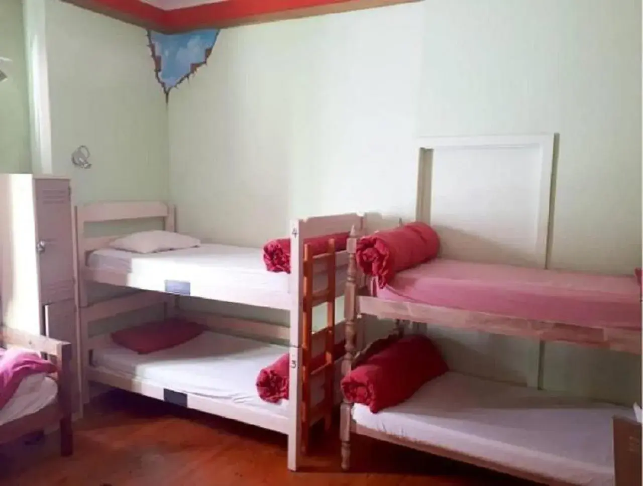 Bunk Bed in Big Blue Backpackers