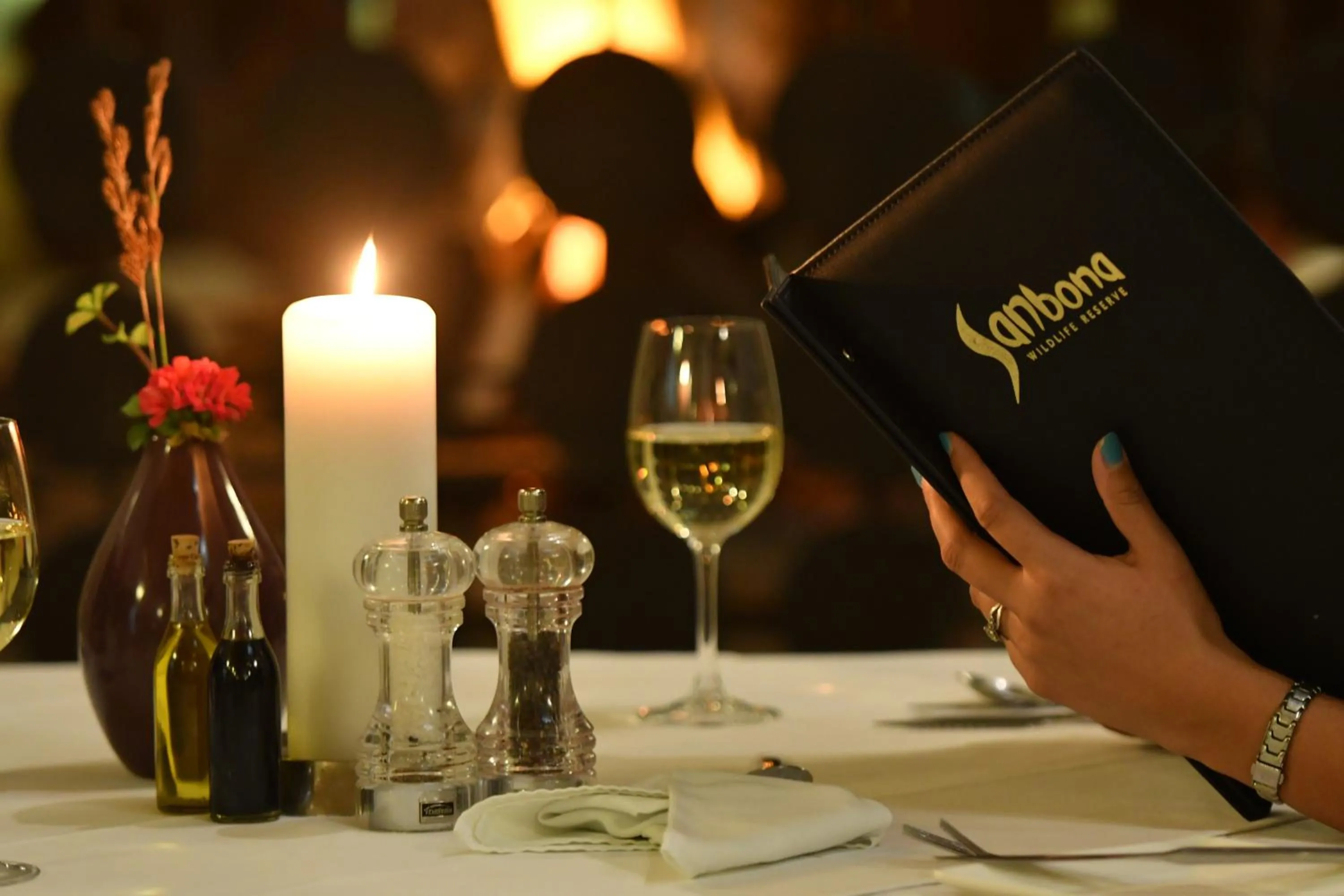 Dinner in Sanbona Wildlife Reserve