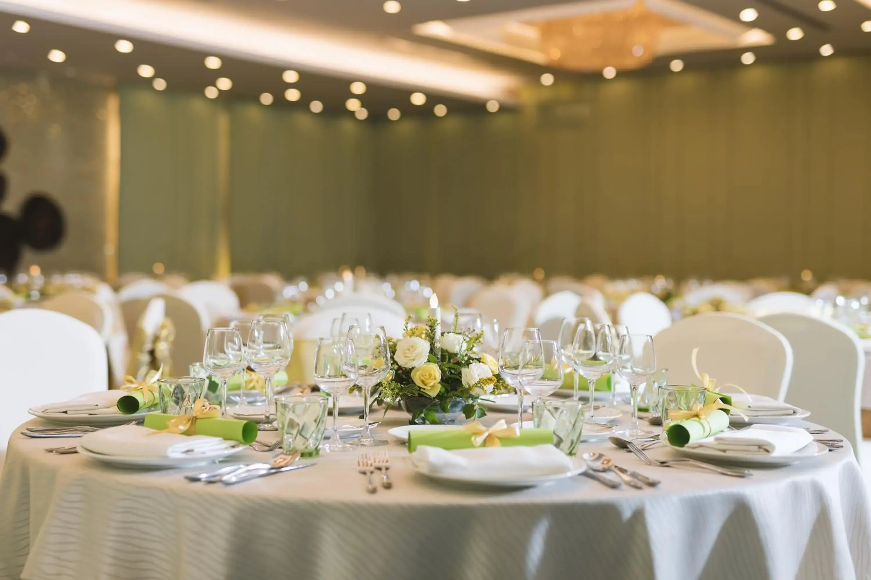 Banquet/Function facilities, Banquet Facilities in Best Western Green Hill Hotel