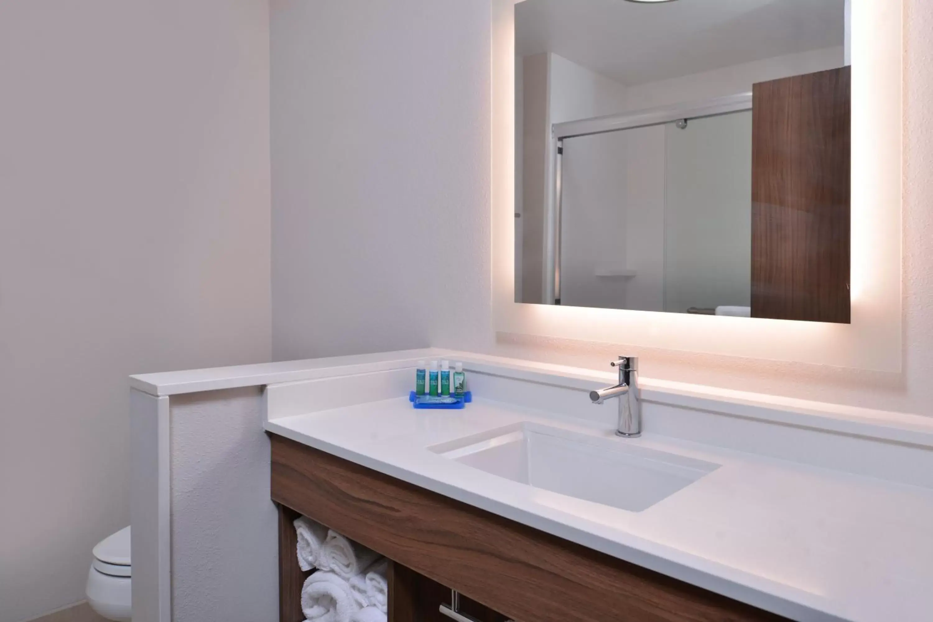 Bathroom in Holiday Inn Express & Suites - Marshalltown, an IHG Hotel